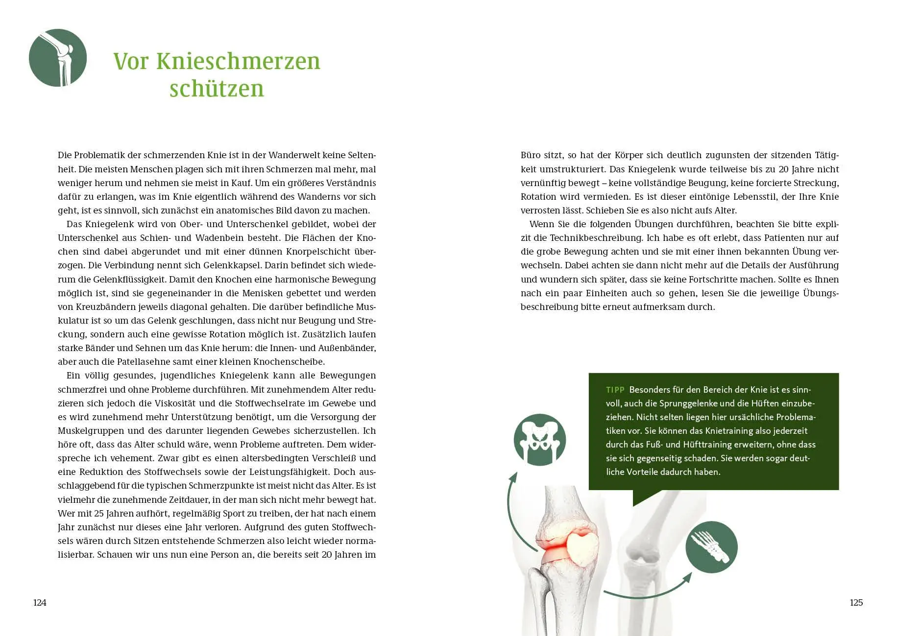 Bild: 9783954533046 | Endlich wieder schmerzfrei wandern | Marwin Isenberg | Taschenbuch
