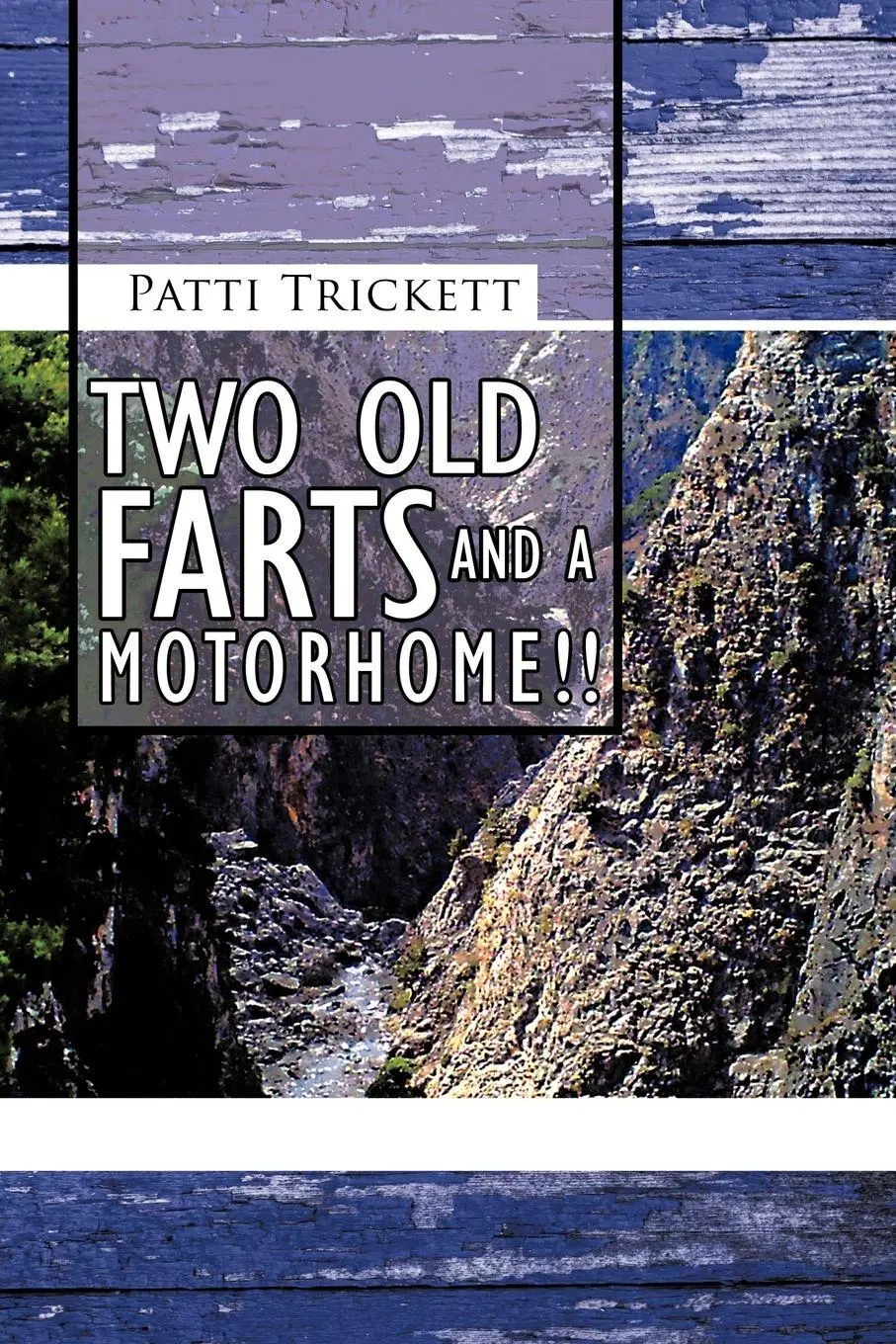 Cover: 9781467883146 | Two Old Farts and a Motorhome!! | Patti Trickett | Taschenbuch | 2012