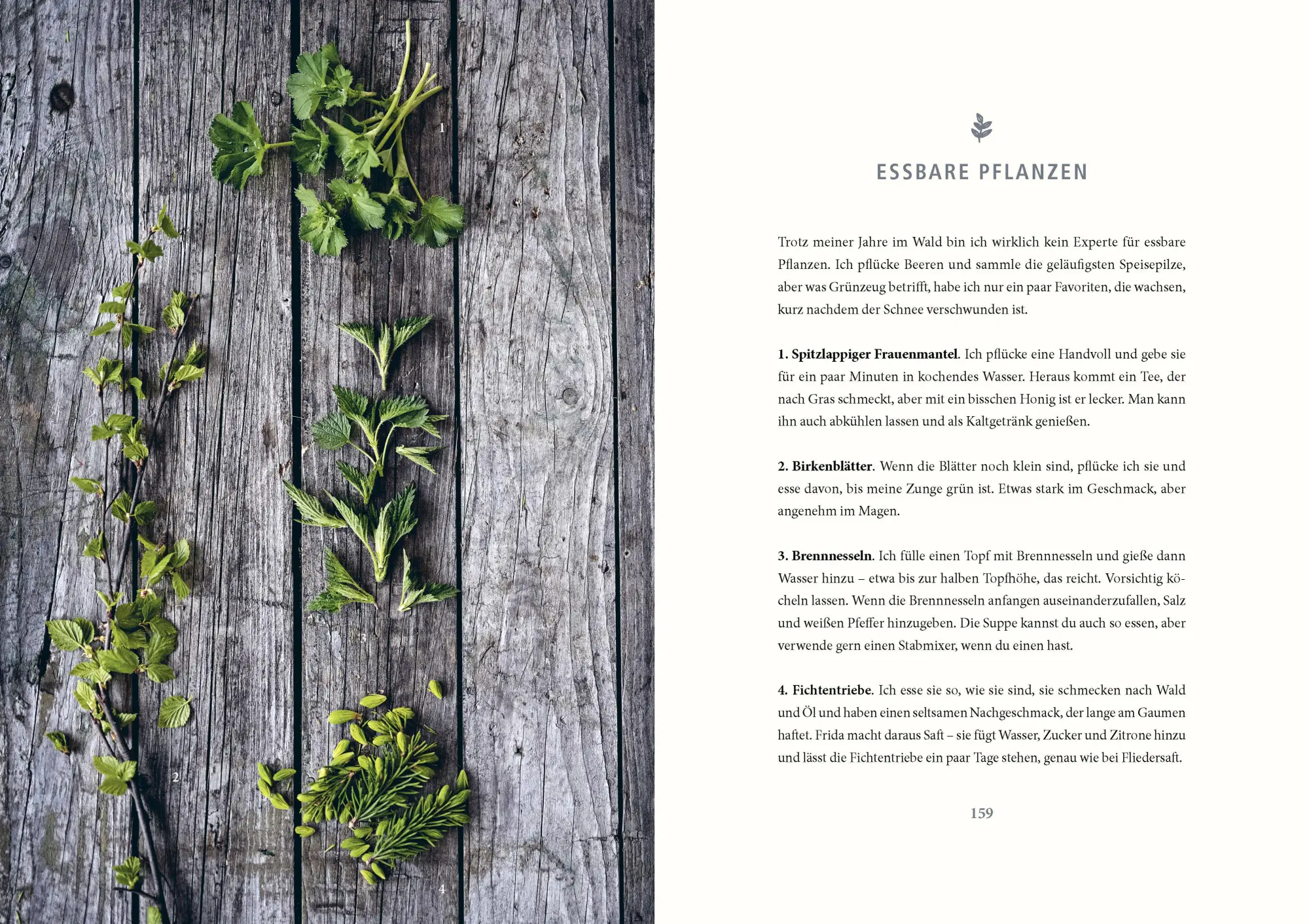 Bild: 9783453273146 | Unter freiem Himmel | Eine Anleitung für ein Leben in der Natur | Buch
