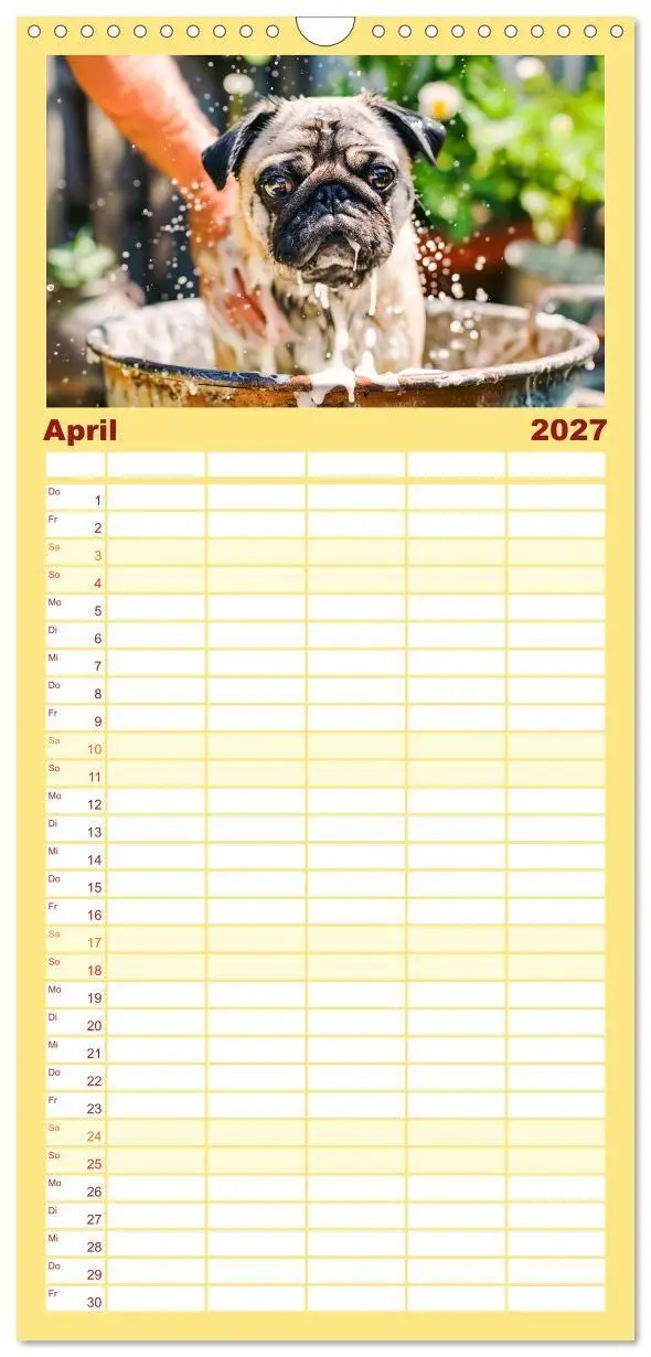 Bild: 9783594303146 | Familienplaner 2027 - Mops-Mania - Der Spaßkalender für Mops-Fans...