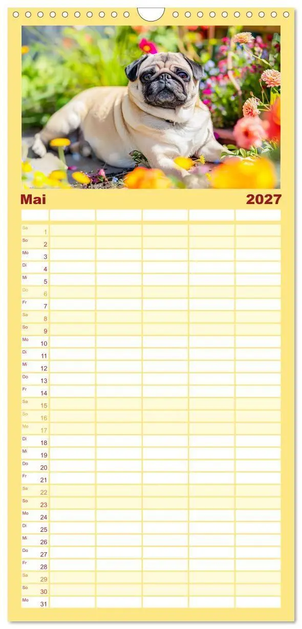 Bild: 9783594303146 | Familienplaner 2027 - Mops-Mania - Der Spaßkalender für Mops-Fans...
