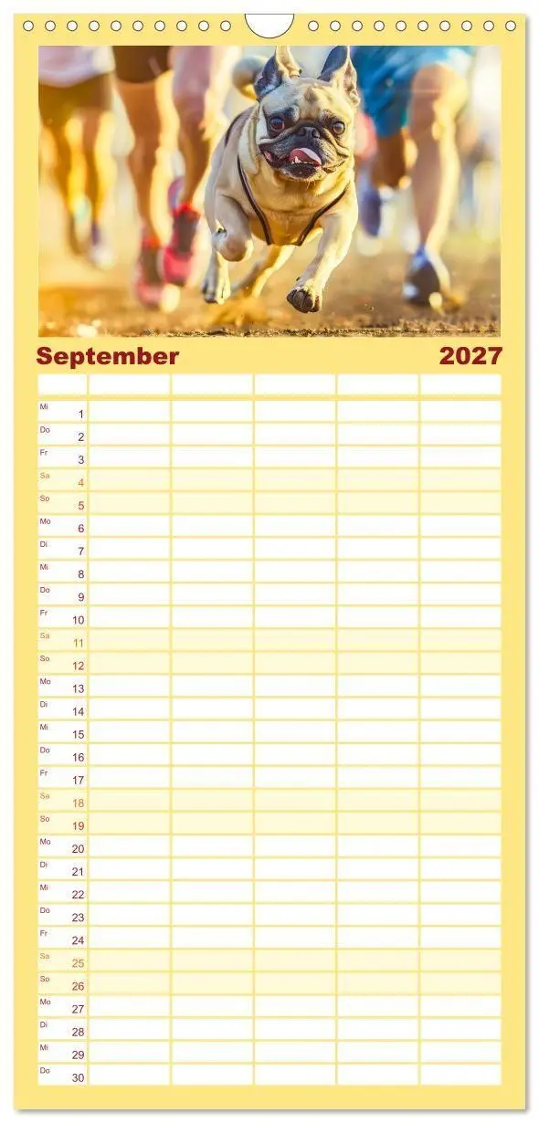 Bild: 9783594303146 | Familienplaner 2027 - Mops-Mania - Der Spaßkalender für Mops-Fans...