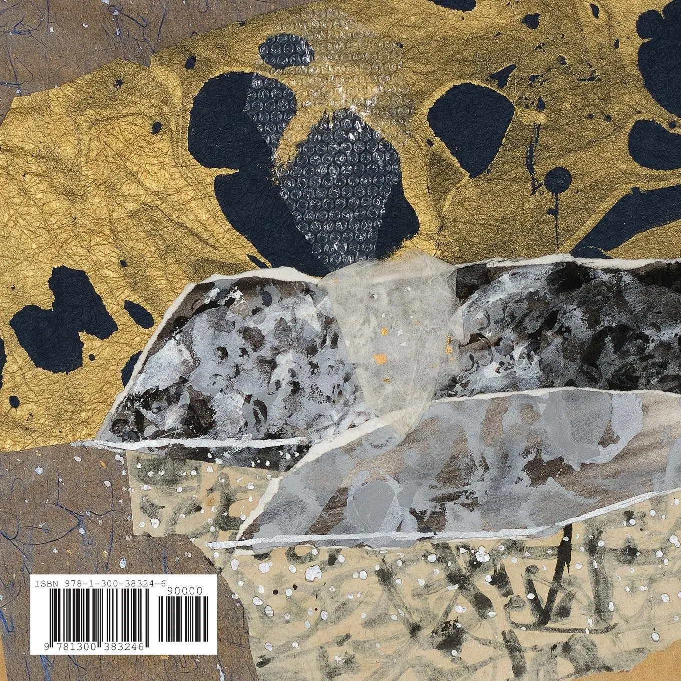 Rückseite: 9781300383246 | The Gray Whales of Baja | Wendy Wilder Larsen (u. a.) | Taschenbuch