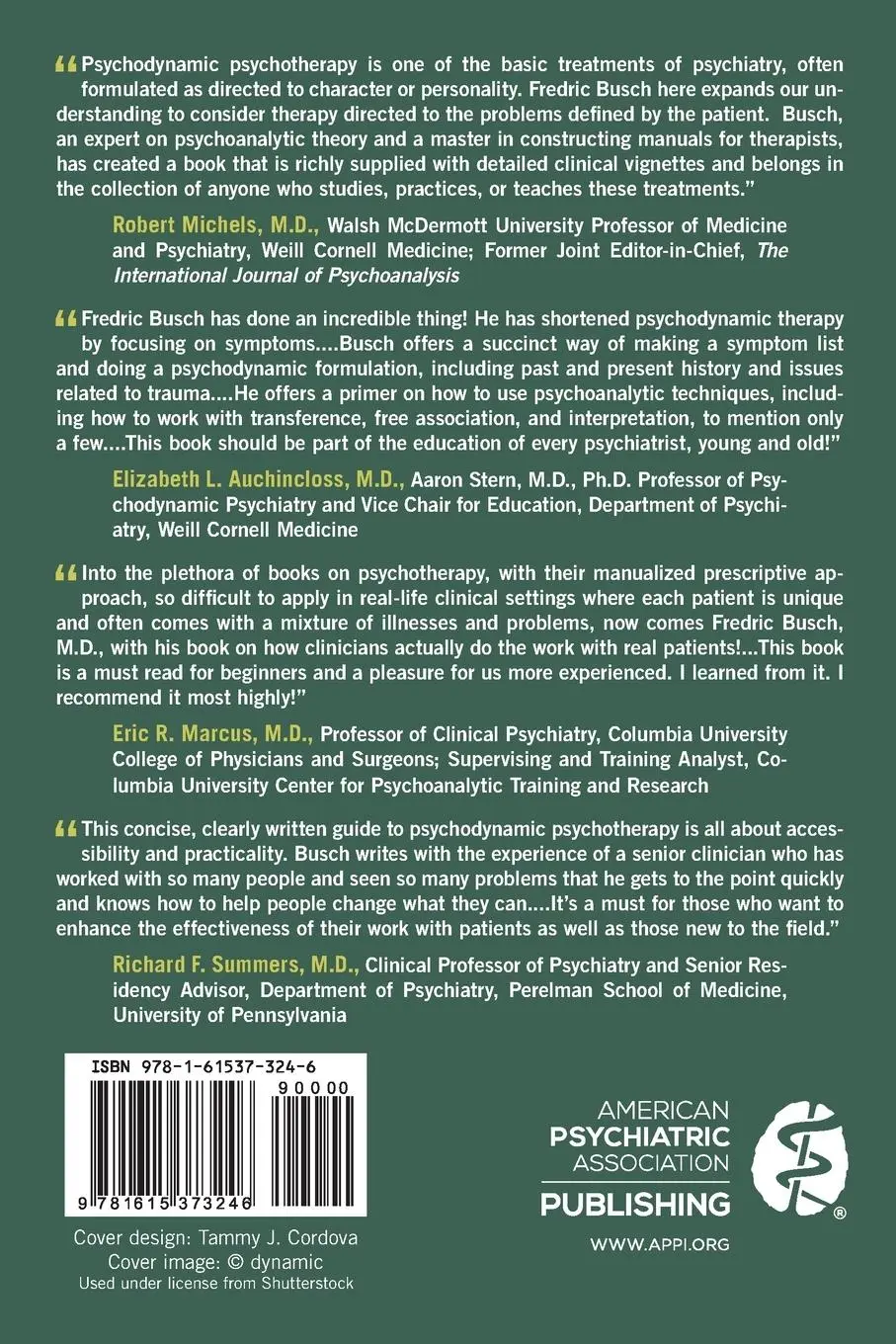 Rückseite: 9781615373246 | Problem-Focused Psychodynamic Psychotherapy | Fredric N. Busch | Buch