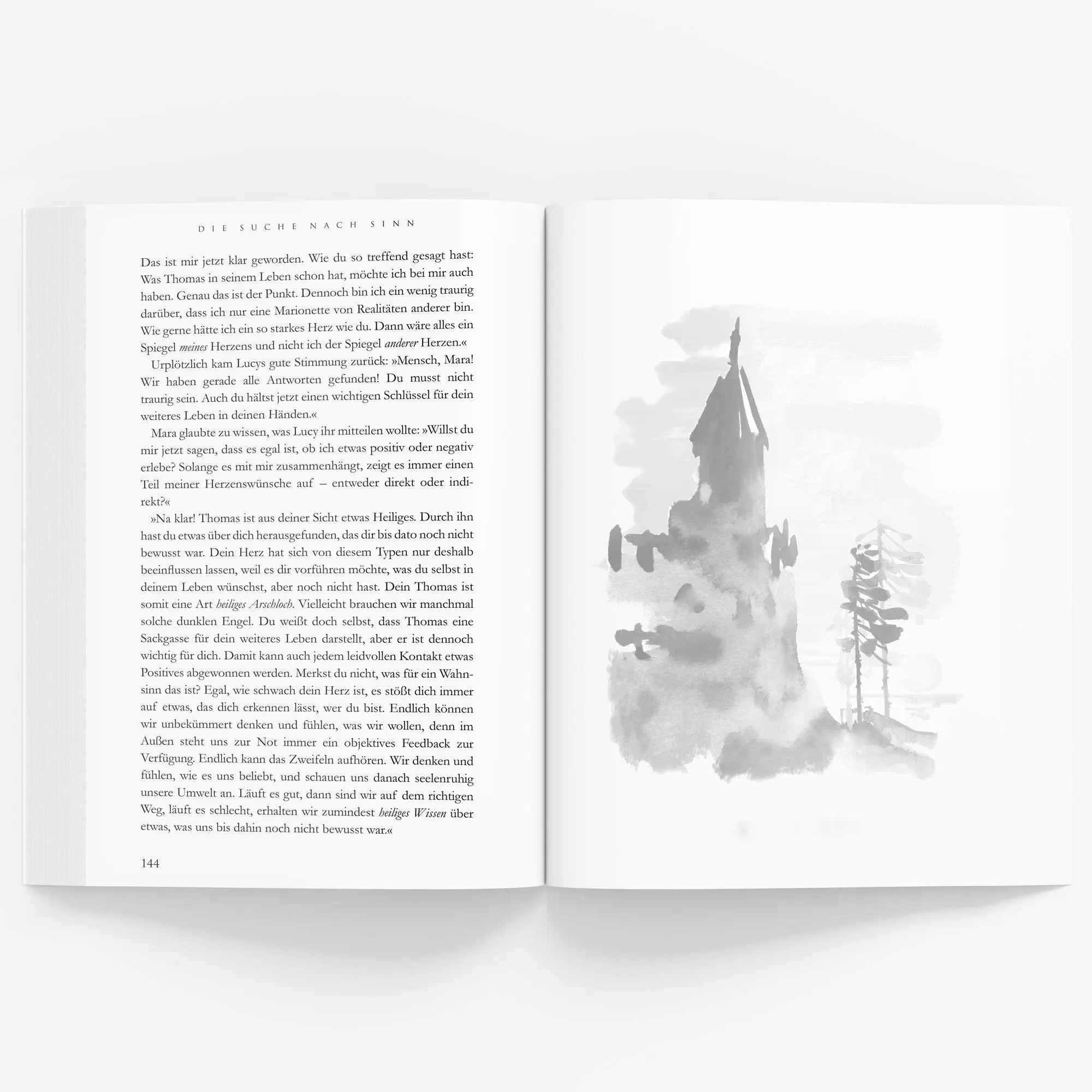 Bild: 9783982303246 | Die Suche nach Sinn | Luca Rohleder | Taschenbuch | 302 S. | Deutsch