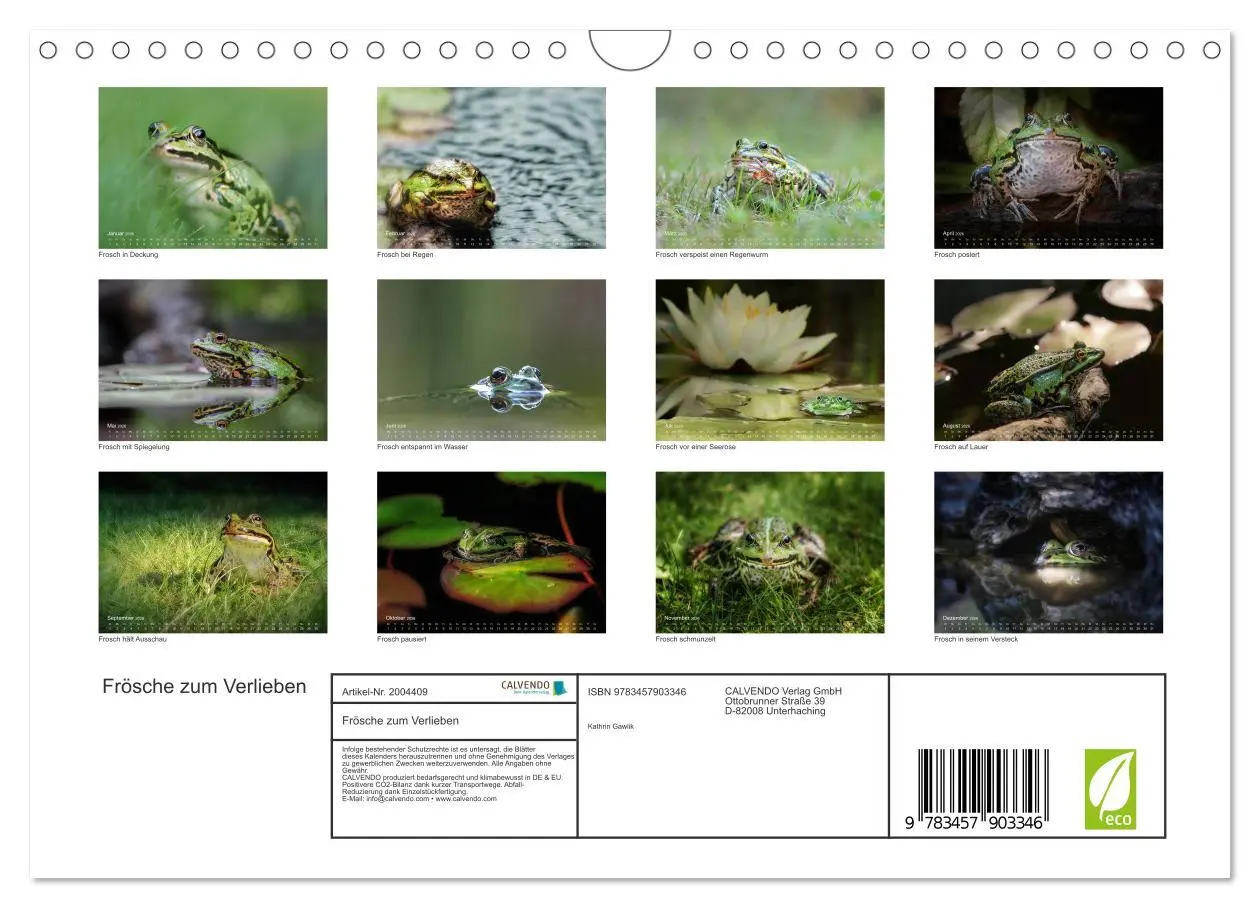Bild: 9783457903346 | Frösche zum Verlieben (Wandkalender 2026 DIN A4 quer), CALVENDO...