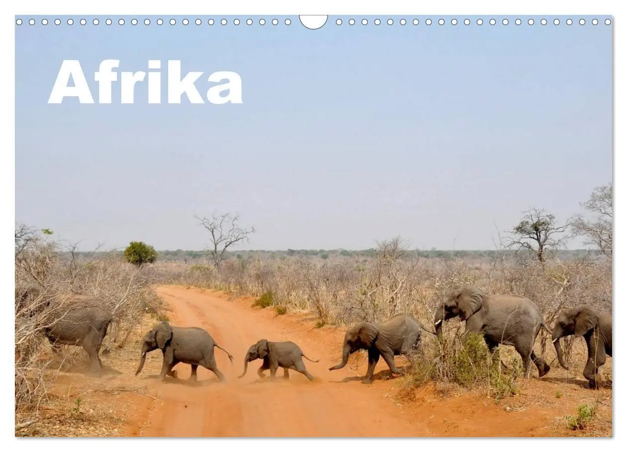 Cover: 9783516163346 | Afrika (Wandkalender 2026 DIN A3 quer), CALVENDO Monatskalender | Ch