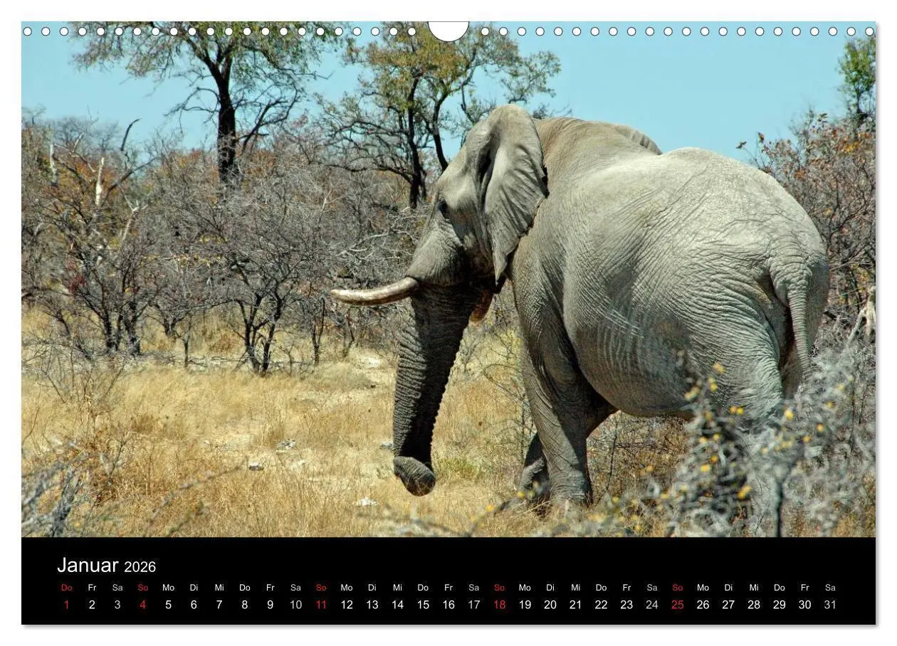 Bild: 9783516163346 | Afrika (Wandkalender 2026 DIN A3 quer), CALVENDO Monatskalender | Ch