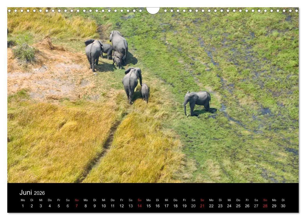 Bild: 9783516163346 | Afrika (Wandkalender 2026 DIN A3 quer), CALVENDO Monatskalender | Ch