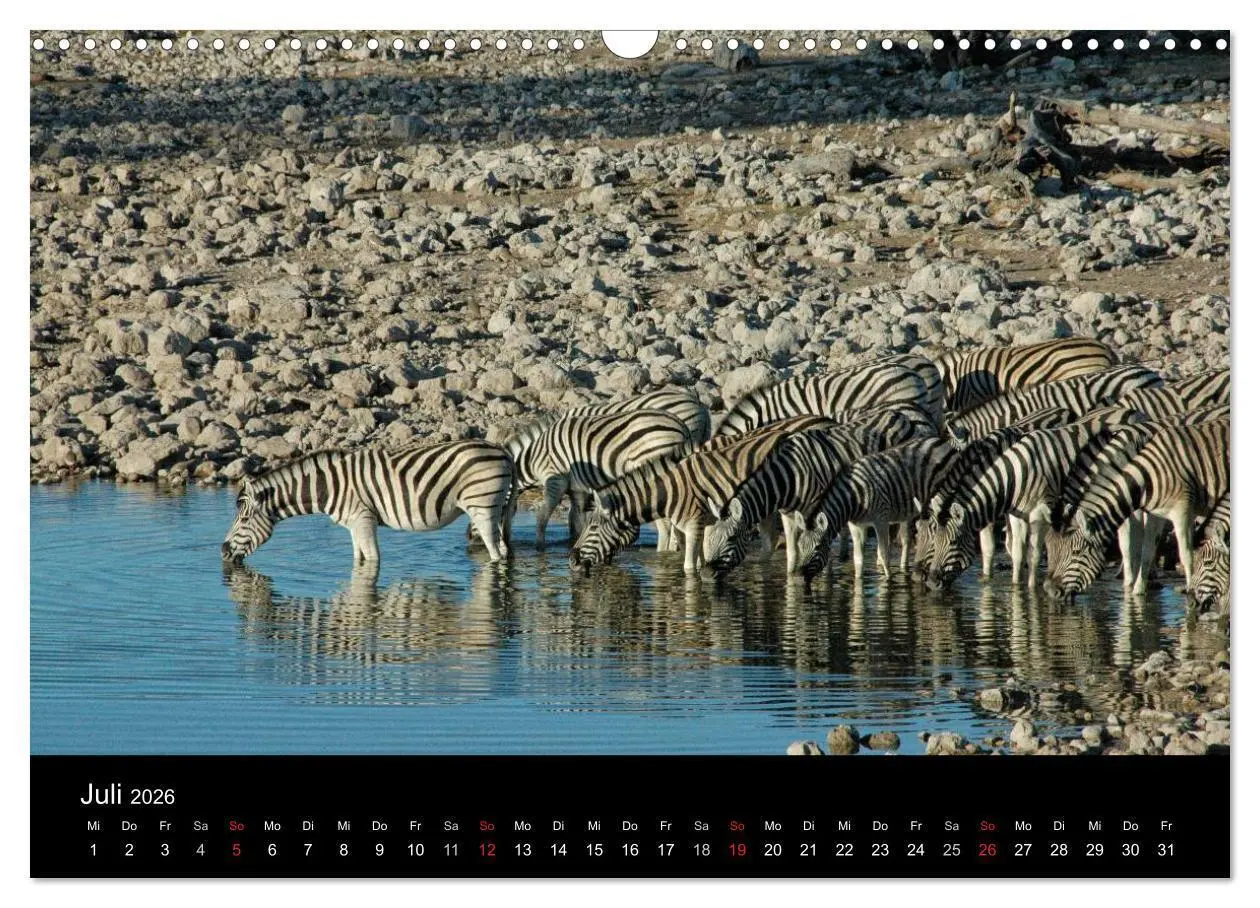 Bild: 9783516163346 | Afrika (Wandkalender 2026 DIN A3 quer), CALVENDO Monatskalender | Ch