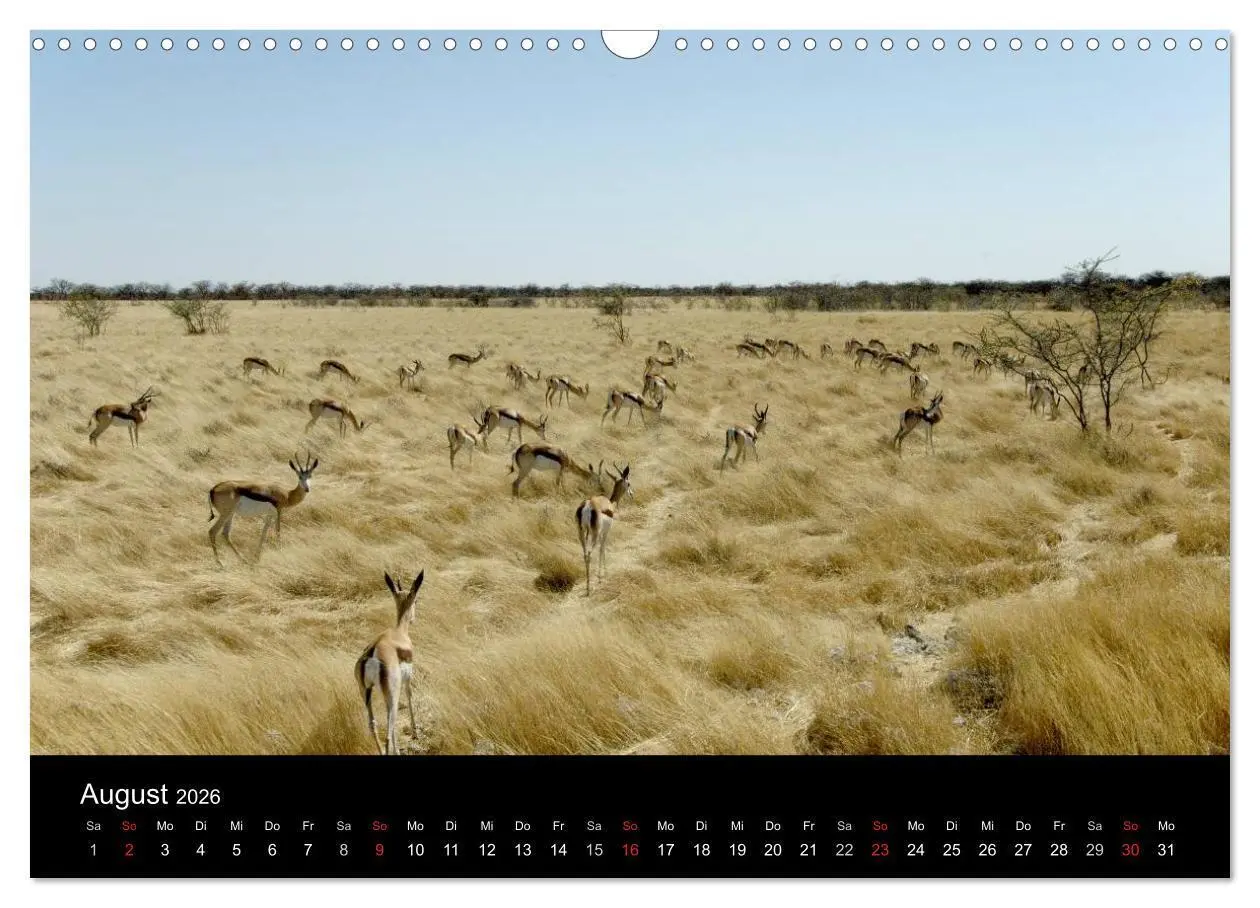 Bild: 9783516163346 | Afrika (Wandkalender 2026 DIN A3 quer), CALVENDO Monatskalender | Ch