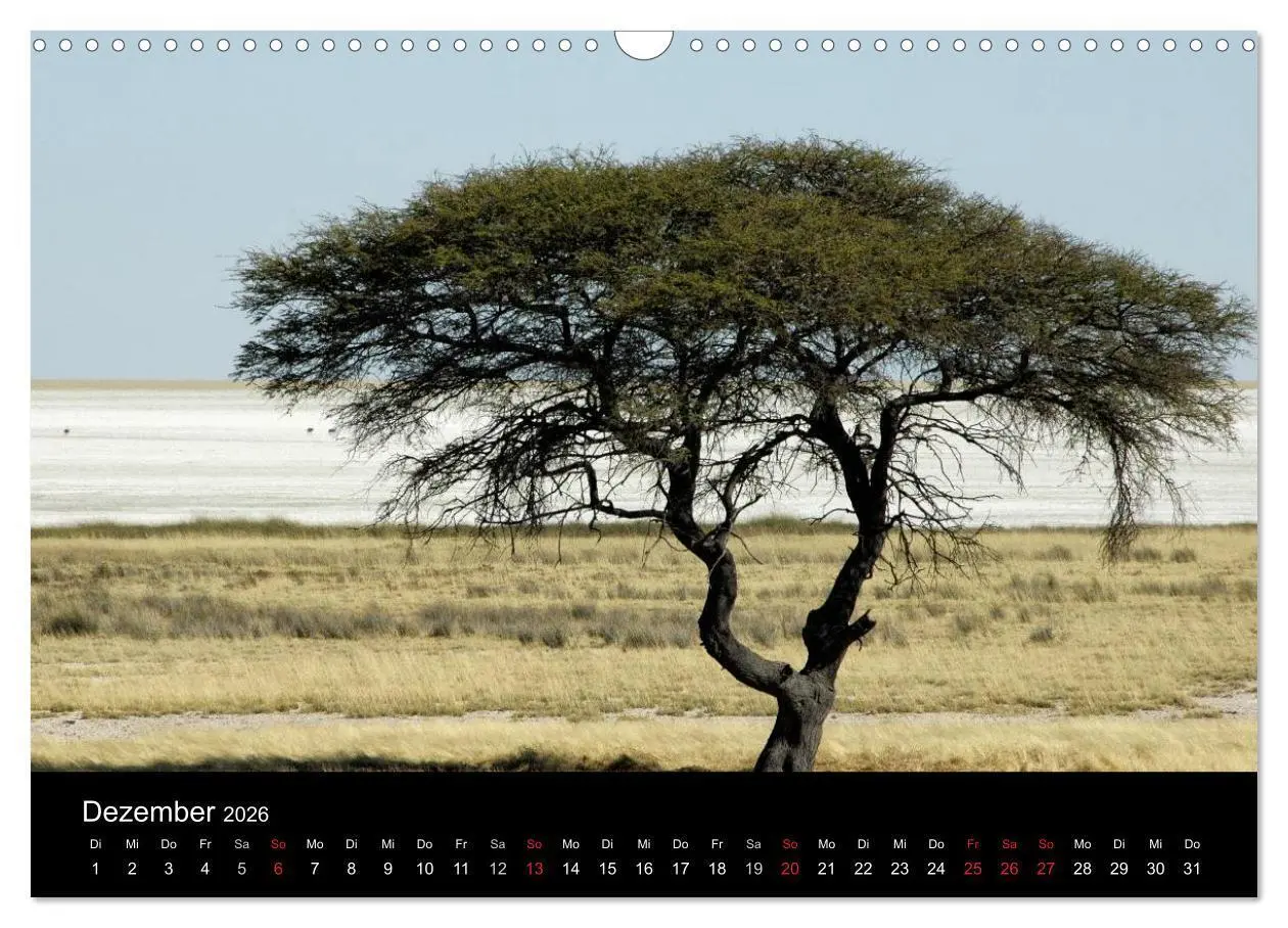 Bild: 9783516163346 | Afrika (Wandkalender 2026 DIN A3 quer), CALVENDO Monatskalender | Ch