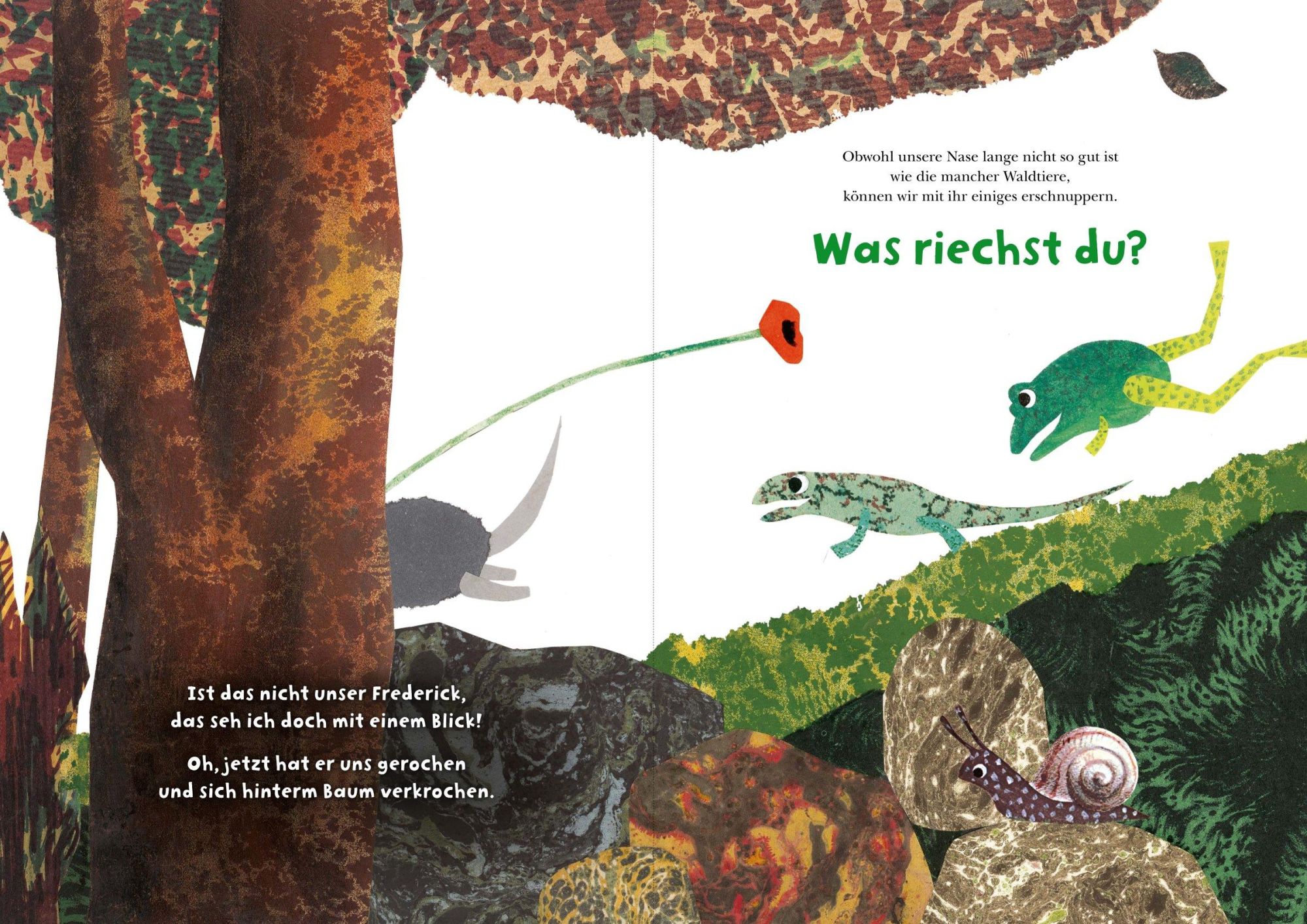 Bild: 9783961293346 | Frederick und seine Freunde - Komm, wir erkunden den Wald | Leo Lionni