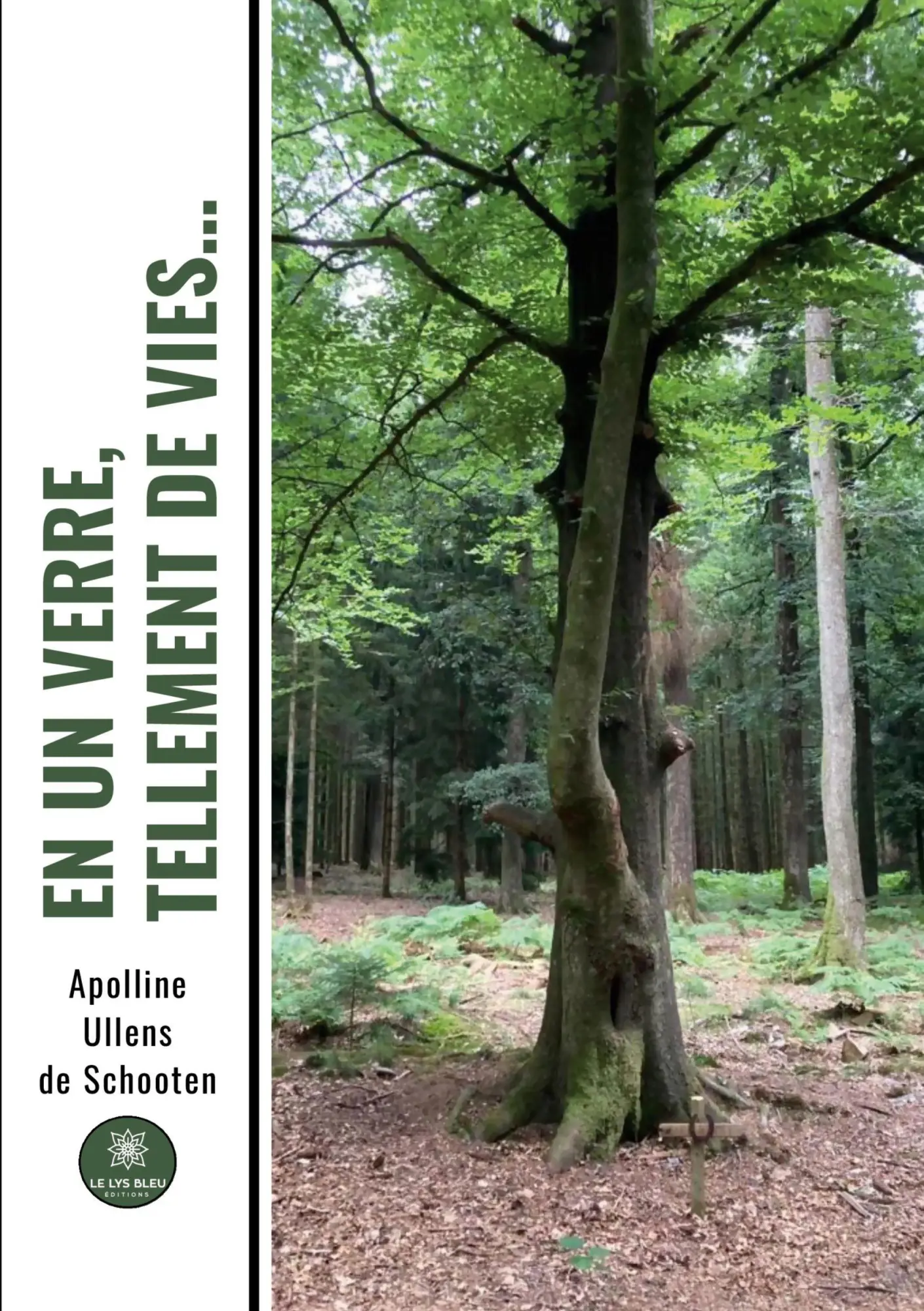 Cover: 9791042283346 | En un verre, tellement de vies... | Apolline Ullens de Schooten | Buch