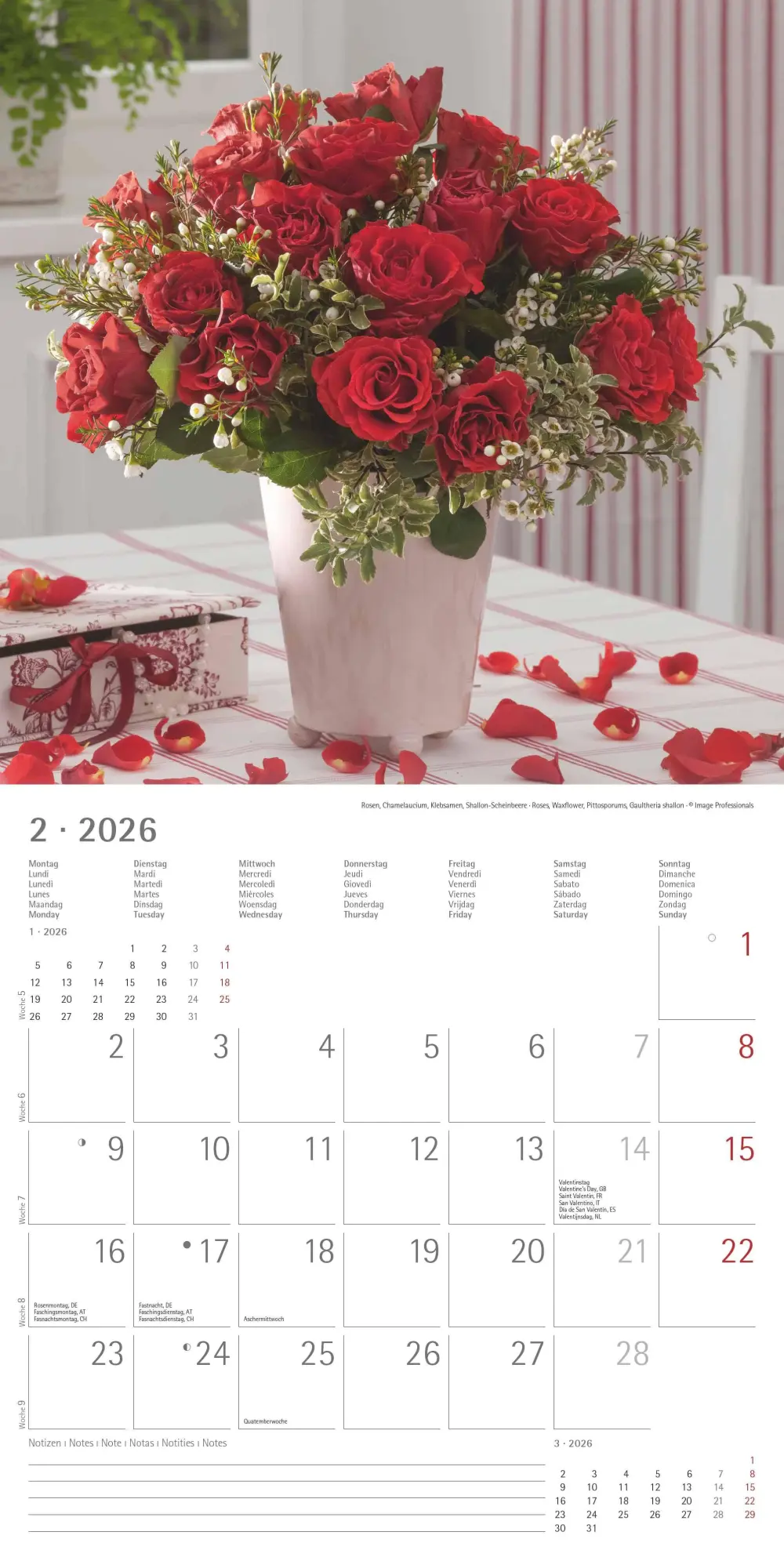 Bild: 4069095003446 | Alpha Edition - Blumenträume 2026 Broschürenkalender, 30x30cm,...