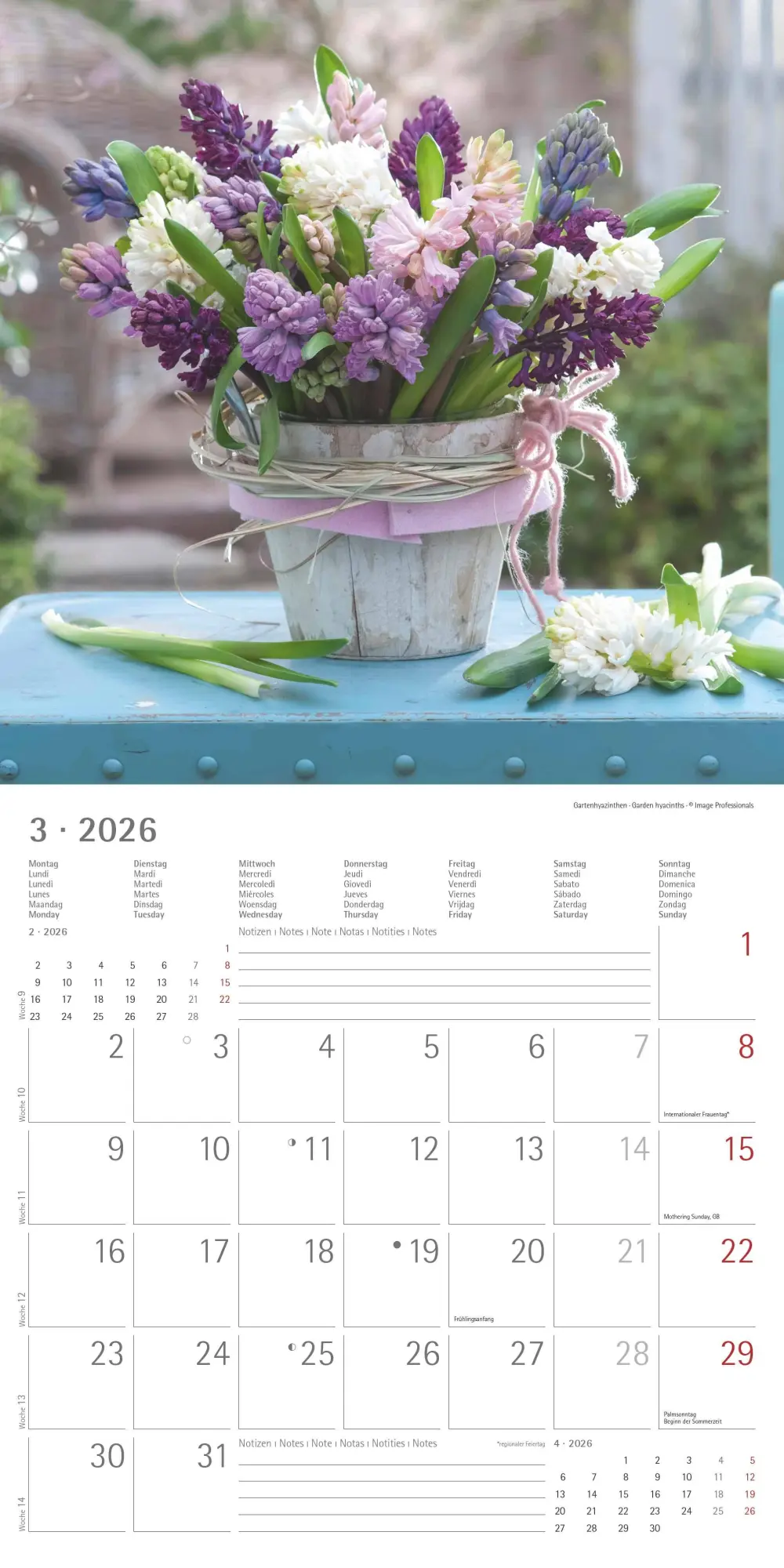 Bild: 4069095003446 | Alpha Edition - Blumenträume 2026 Broschürenkalender, 30x30cm,...