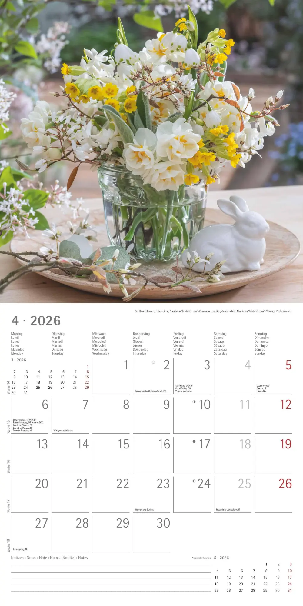 Bild: 4069095003446 | Alpha Edition - Blumenträume 2026 Broschürenkalender, 30x30cm,...
