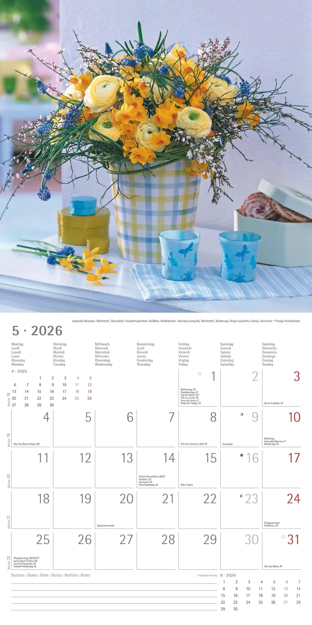 Bild: 4069095003446 | Alpha Edition - Blumenträume 2026 Broschürenkalender, 30x30cm,...
