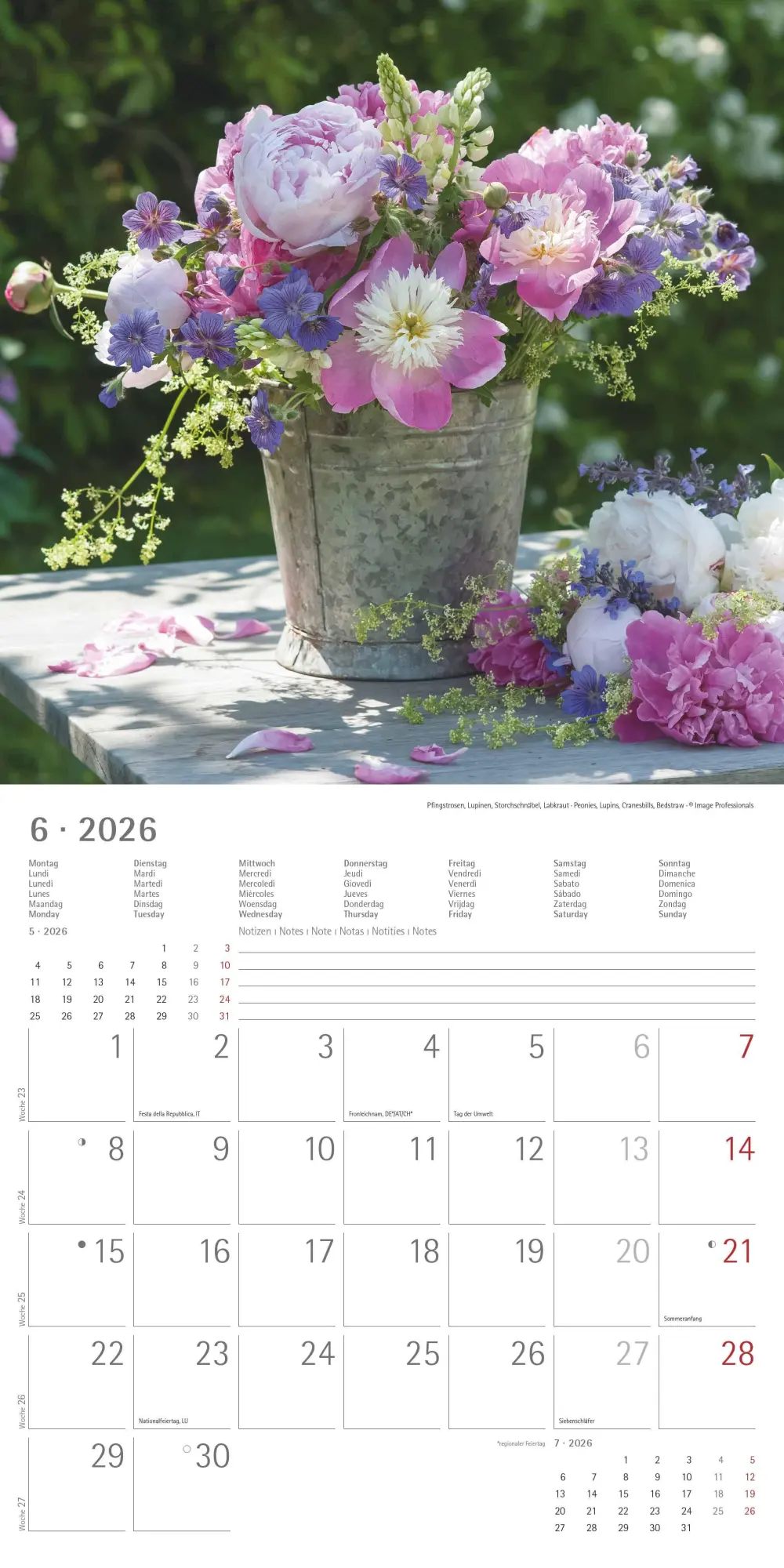 Bild: 4069095003446 | Alpha Edition - Blumenträume 2026 Broschürenkalender, 30x30cm,...