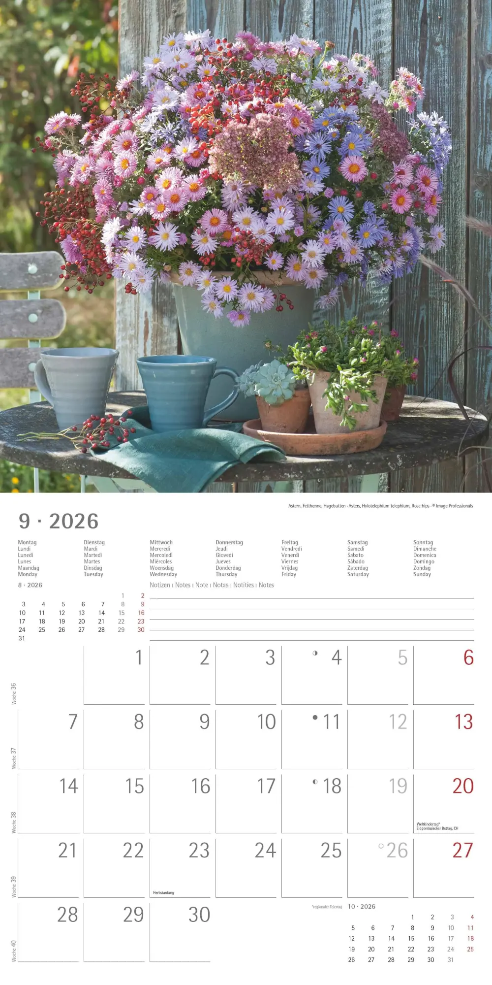 Bild: 4069095003446 | Alpha Edition - Blumenträume 2026 Broschürenkalender, 30x30cm,...