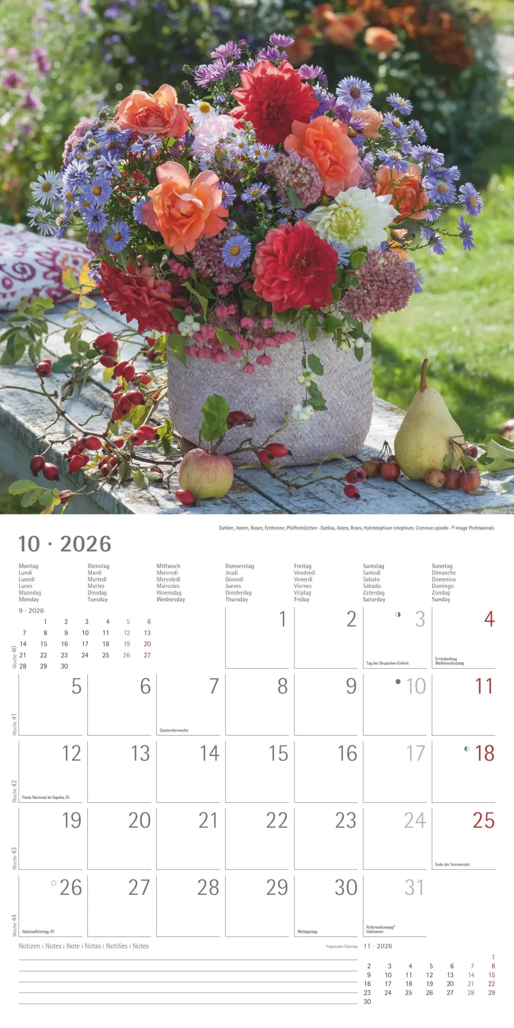 Bild: 4069095003446 | Alpha Edition - Blumenträume 2026 Broschürenkalender, 30x30cm,...