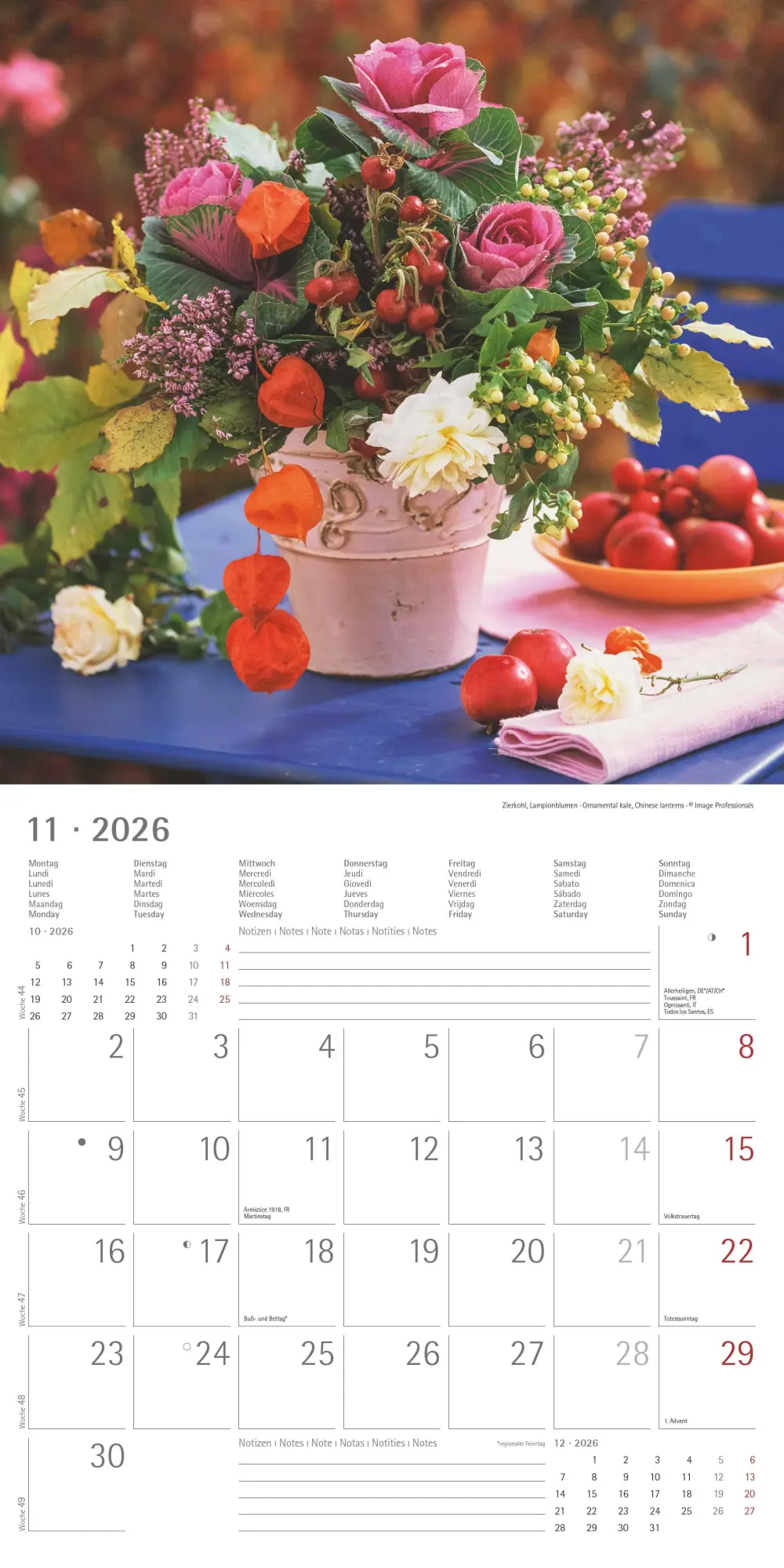 Bild: 4069095003446 | Alpha Edition - Blumenträume 2026 Broschürenkalender, 30x30cm,...