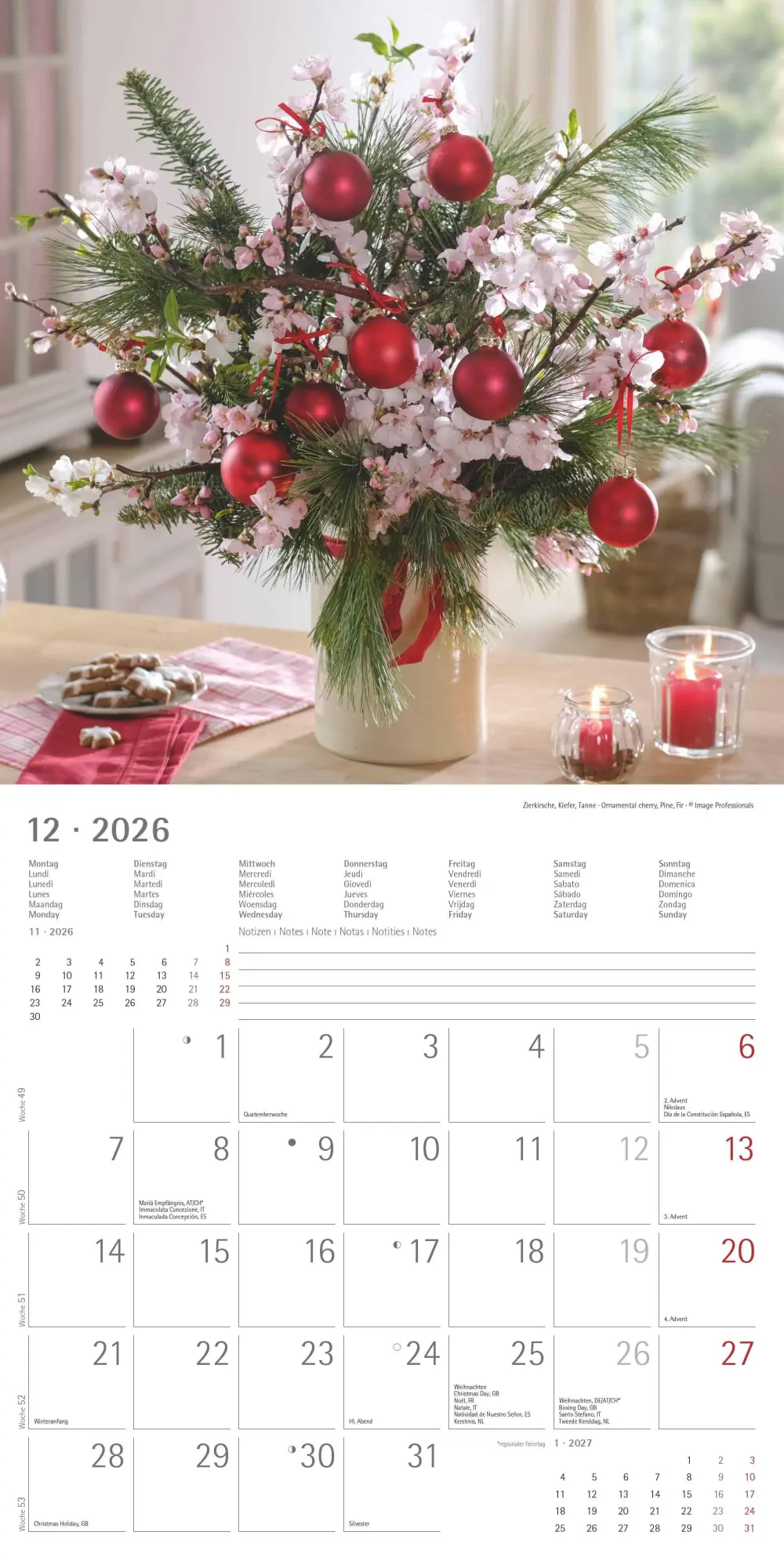 Bild: 4069095003446 | Alpha Edition - Blumenträume 2026 Broschürenkalender, 30x30cm,...