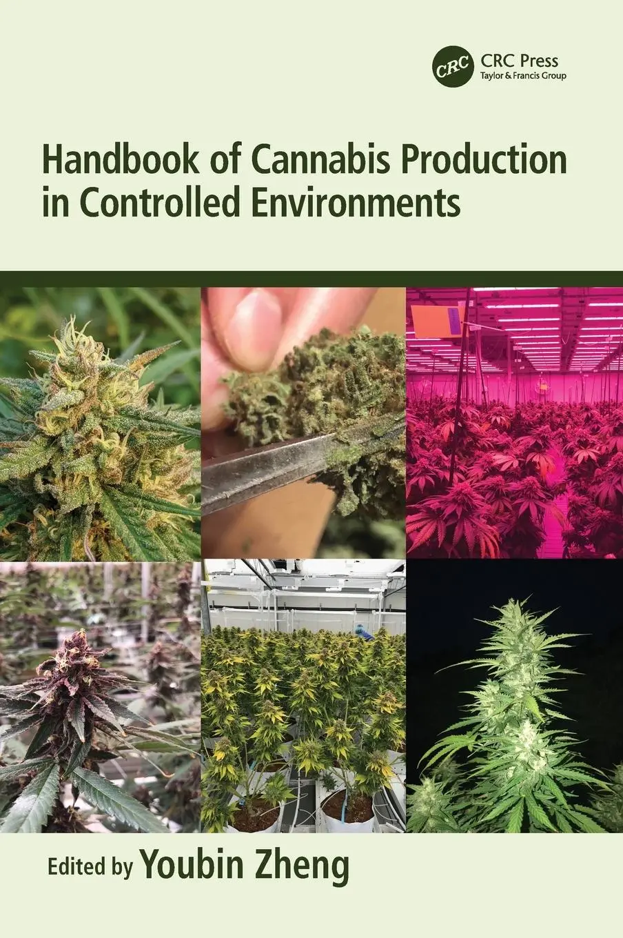 Cover: 9780367713546 | Handbook of Cannabis Production in Controlled Environments | Zheng