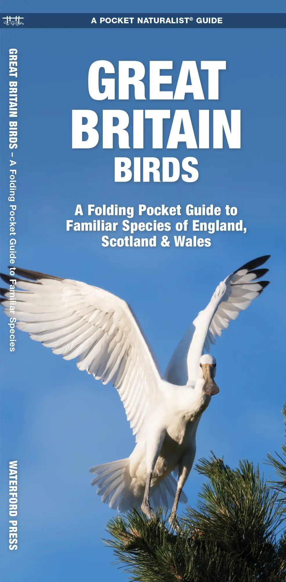 Cover: 9781620053546 | Great Britain Birds | James Kavanagh (u. a.) | Blätter | Ordner | 2020