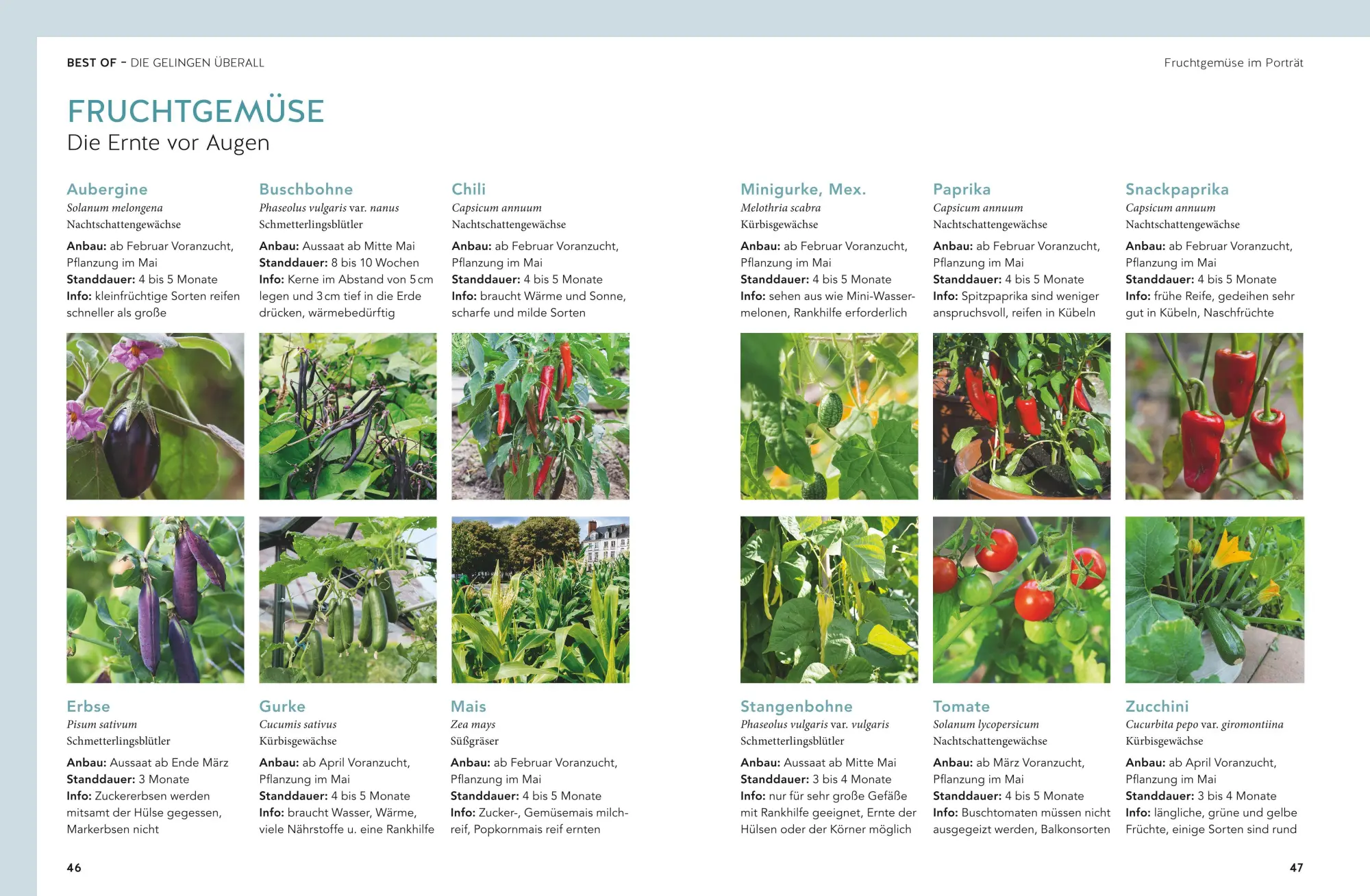 Bild: 9783833873546 | Ernteglück auch ohne Garten | Gemüse geht überall! | Buch | 144 S.