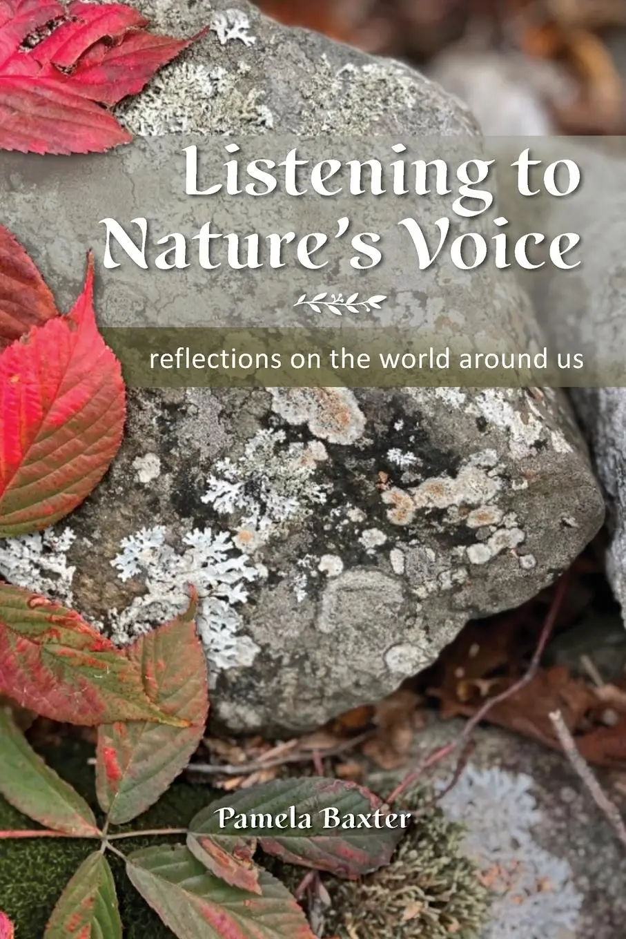 Cover: 9780988463646 | Listening to Nature's Voice | Reflections on the world around us