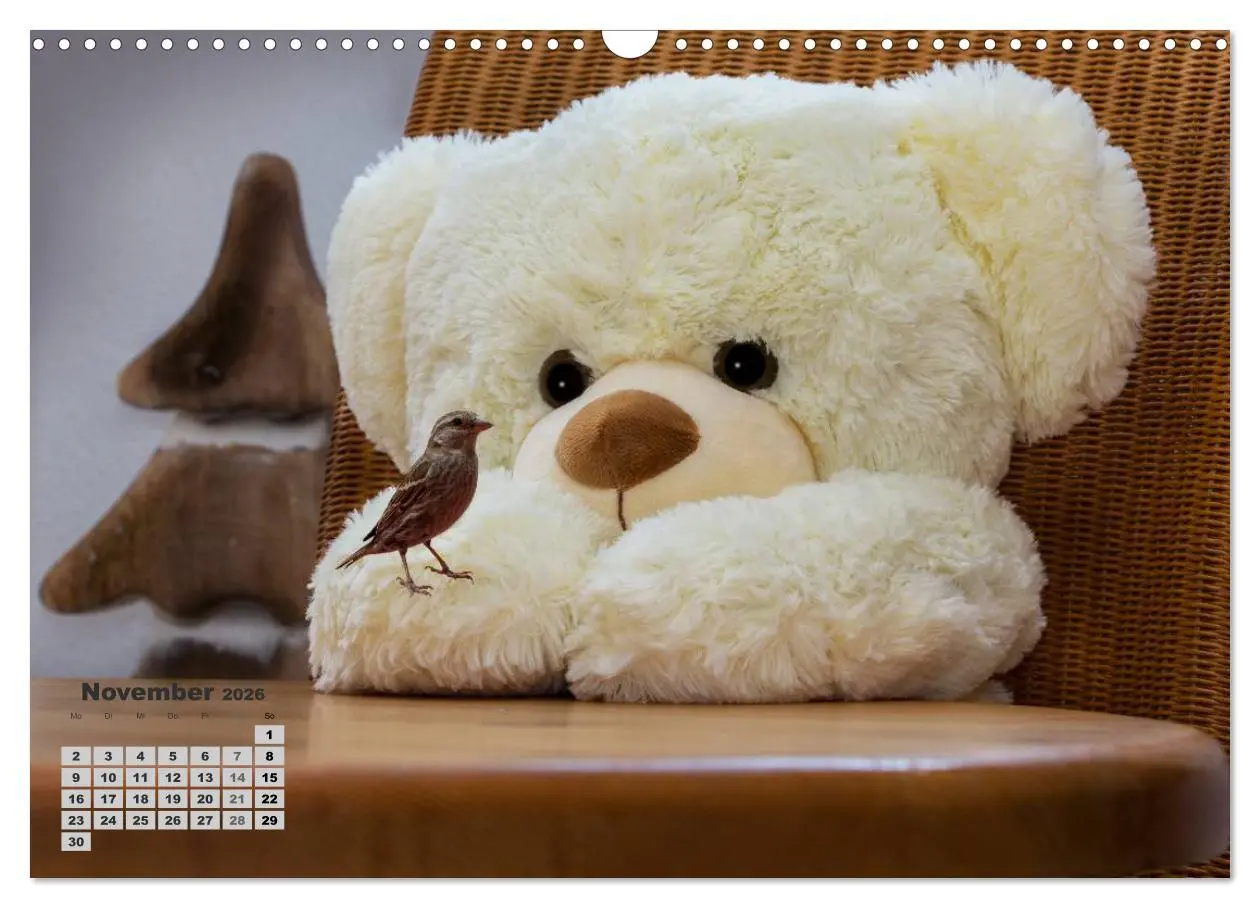 Bild: 9783457973646 | Teddys, wollen wir Kalender anschauen? (Wandkalender 2026 DIN A3...