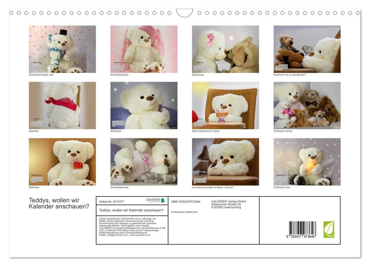 Bild: 9783457973646 | Teddys, wollen wir Kalender anschauen? (Wandkalender 2026 DIN A3...