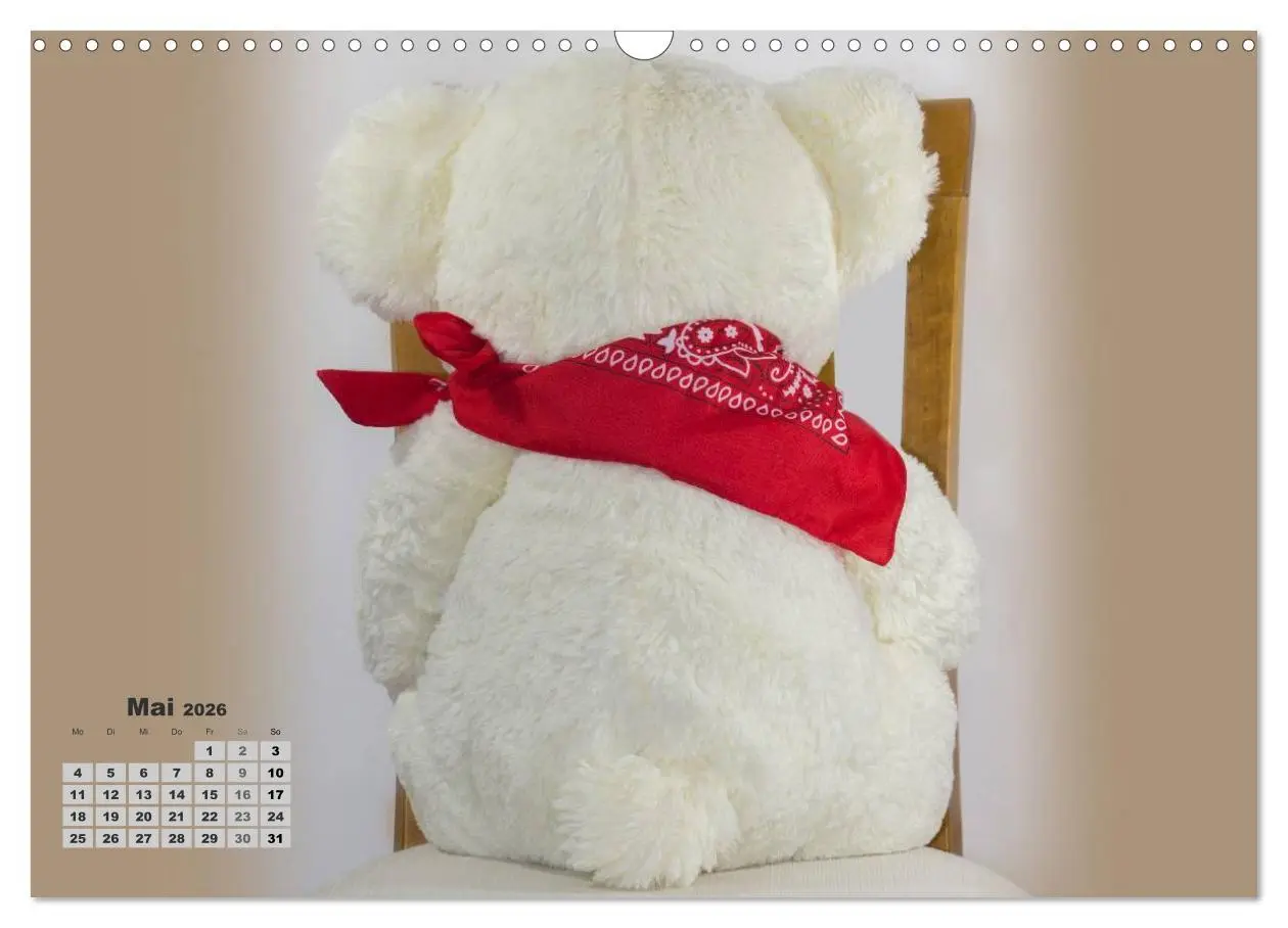 Bild: 9783457973646 | Teddys, wollen wir Kalender anschauen? (Wandkalender 2026 DIN A3...