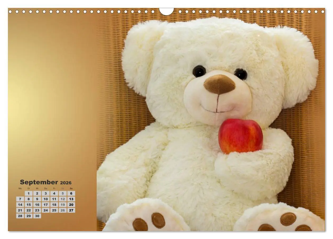 Bild: 9783457973646 | Teddys, wollen wir Kalender anschauen? (Wandkalender 2026 DIN A3...