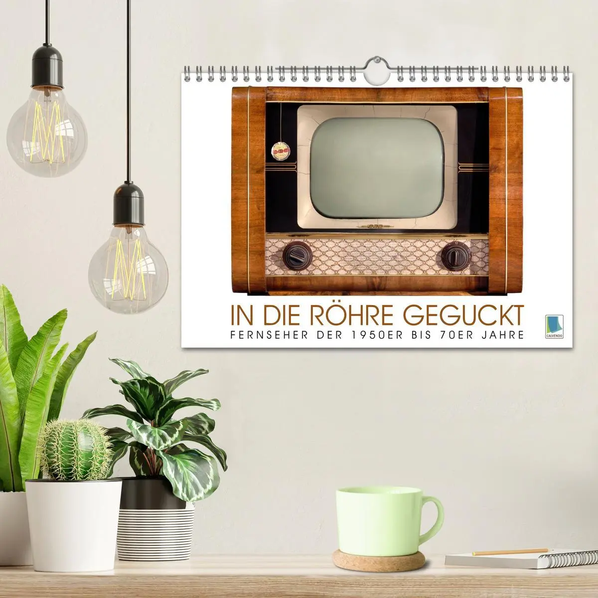 Bild: 9783516063646 | Fernseher der 1950er bis 70er Jahre: In die Röhre geguckt...