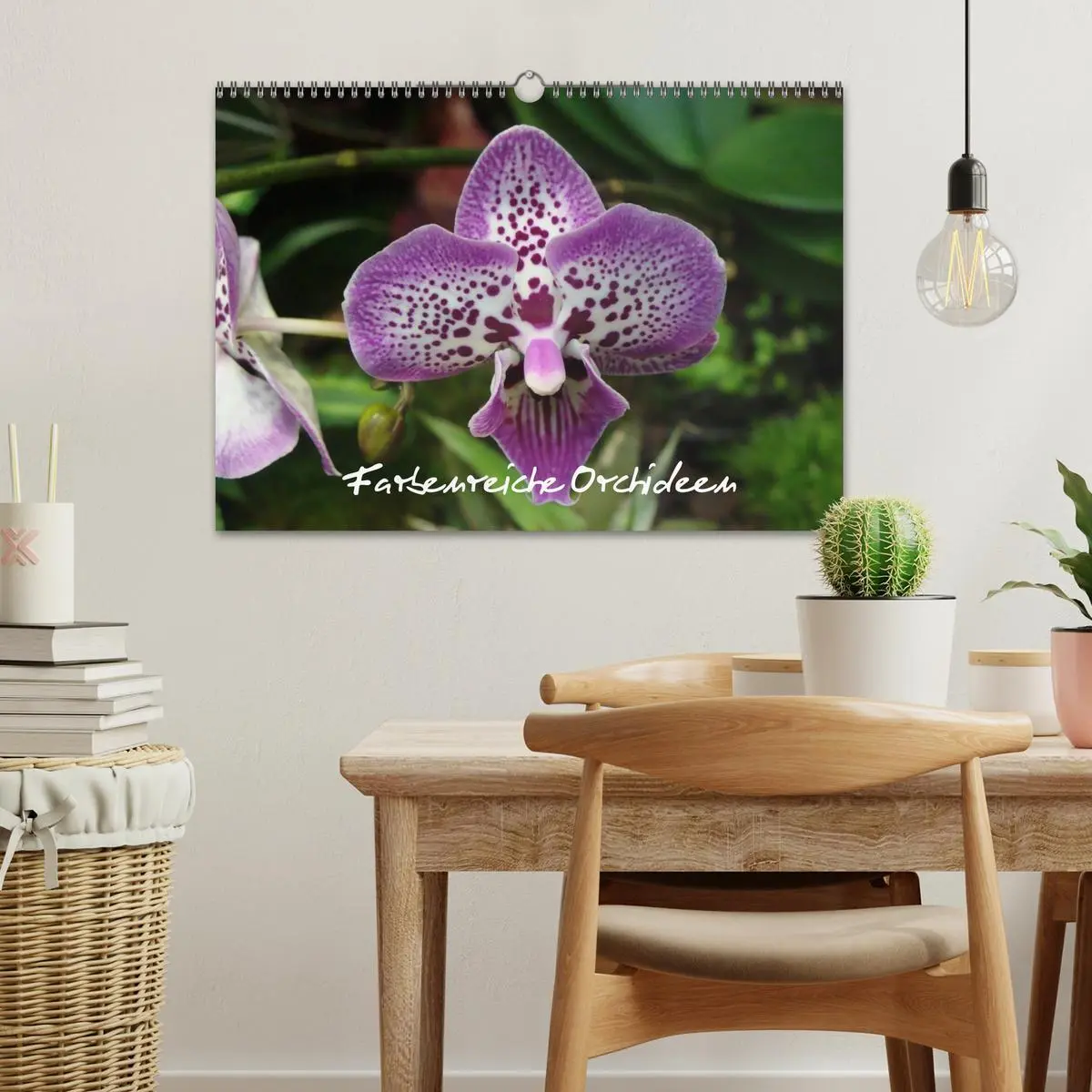 Bild: 9783516203646 | Farbenreiche Orchideen (Wandkalender 2026 DIN A3 quer), CALVENDO...