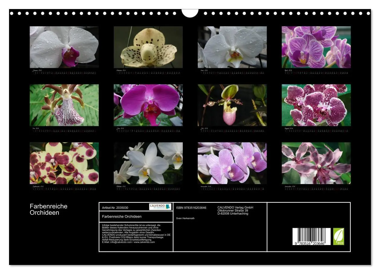 Bild: 9783516203646 | Farbenreiche Orchideen (Wandkalender 2026 DIN A3 quer), CALVENDO...