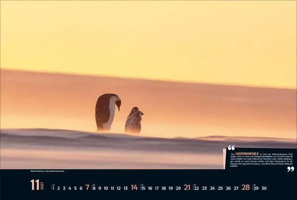 Bild: 9783819303746 | Expedition Antarktis 2027 | Verlag Korsch | Kalender | 14 S. | Deutsch