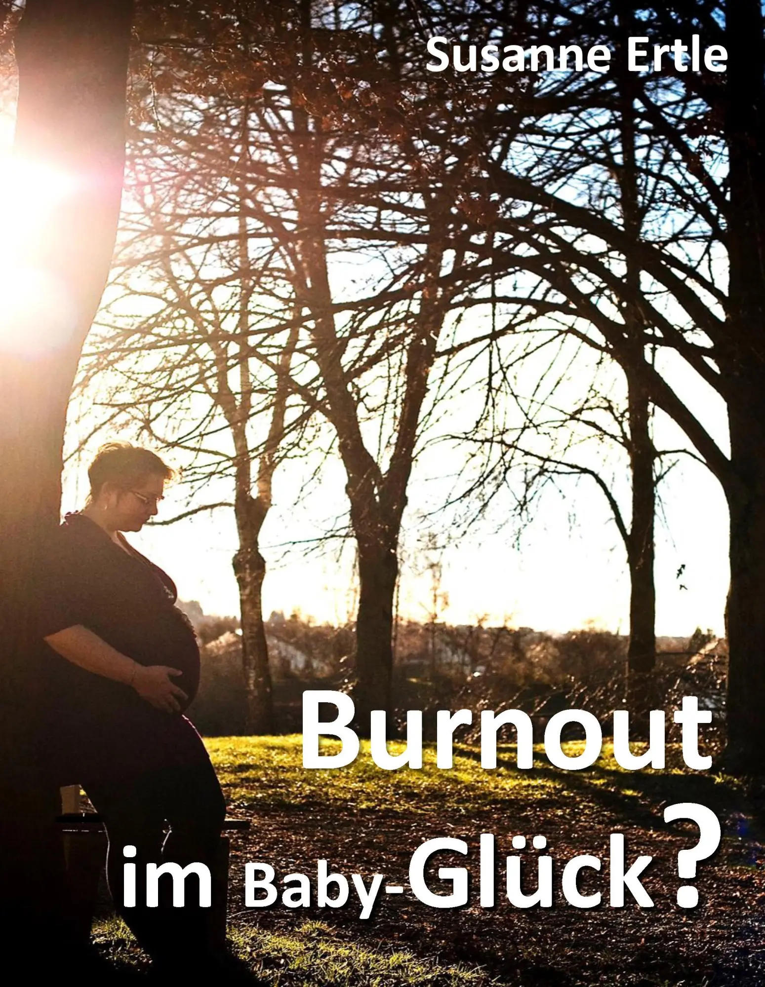 Cover: 9783734533846 | Burnout im Baby-Glück? | Susanne Ertle | Buch | 224 S. | Deutsch