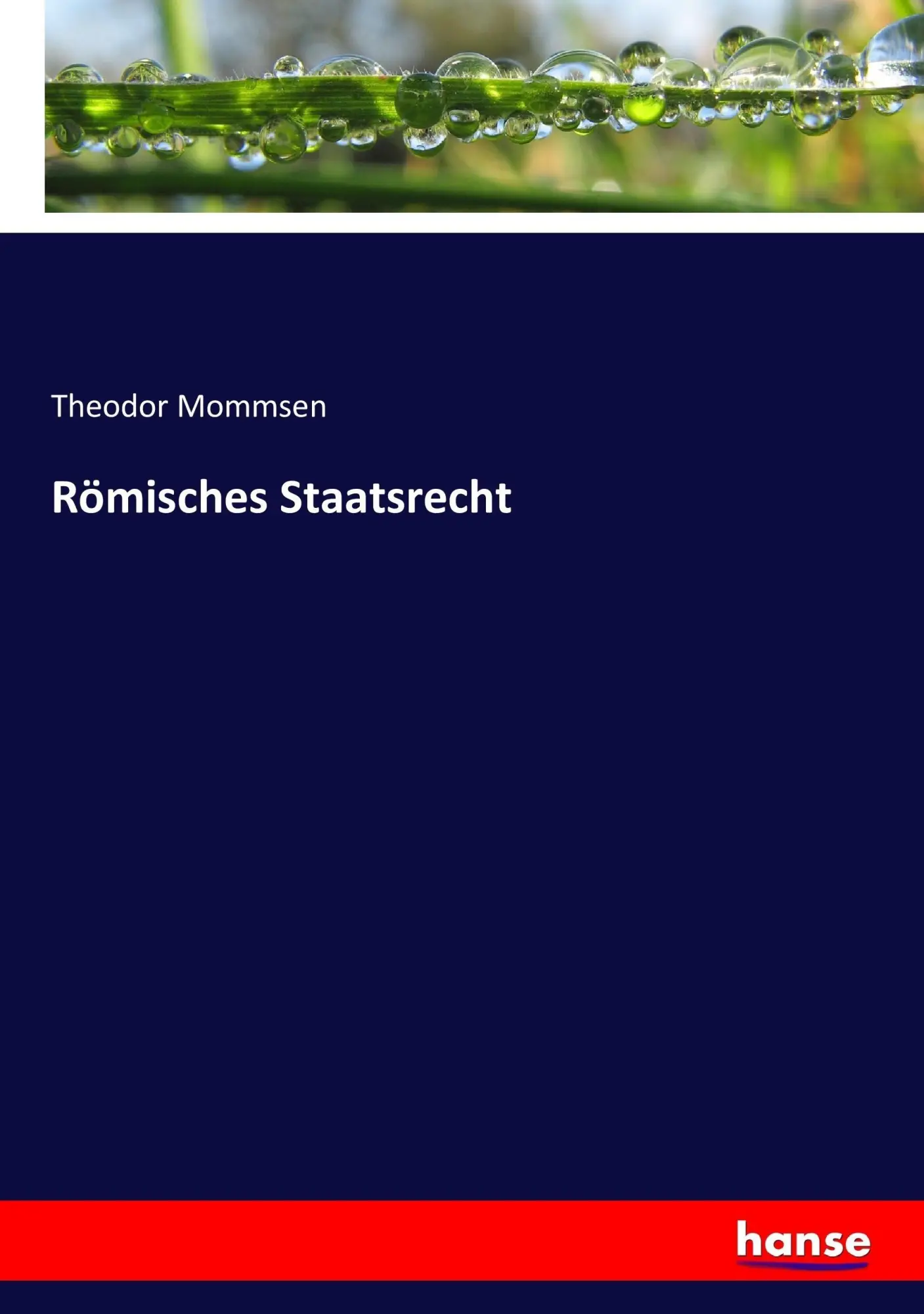 Cover: 9783744663946 | Römisches Staatsrecht | Theodor Mommsen | Taschenbuch | 444 S. | 2017