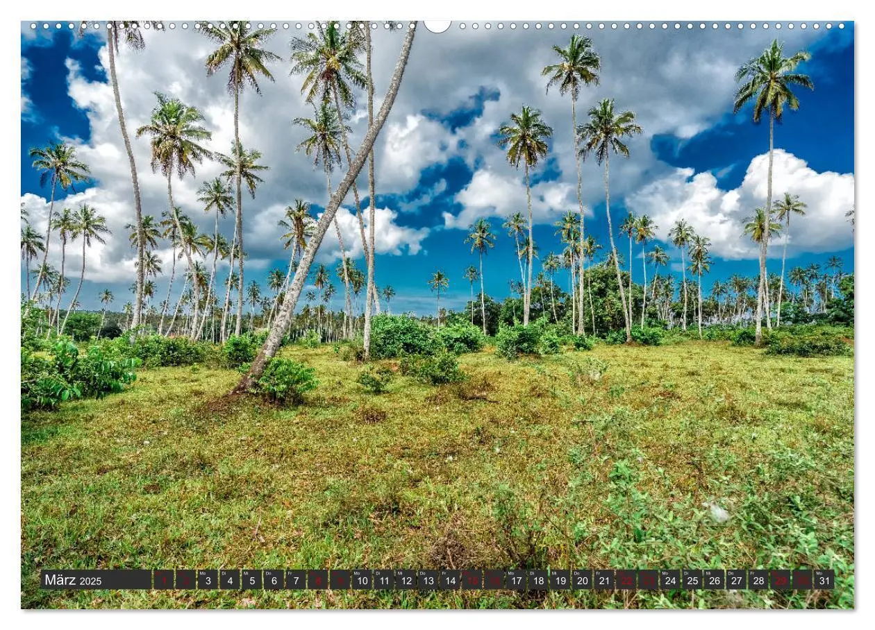 Bild: 9783435364046 | Inselparadies Sansibar (Wandkalender 2025 DIN A2 quer), CALVENDO...
