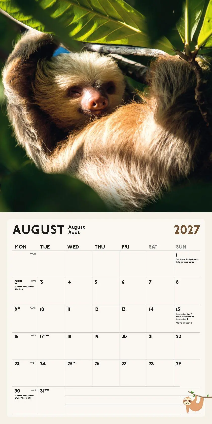 Bild: 9798893614046 | Faultier Kalender 2027 | Blaustein | Kalender | 28 S. | Deutsch | 2027