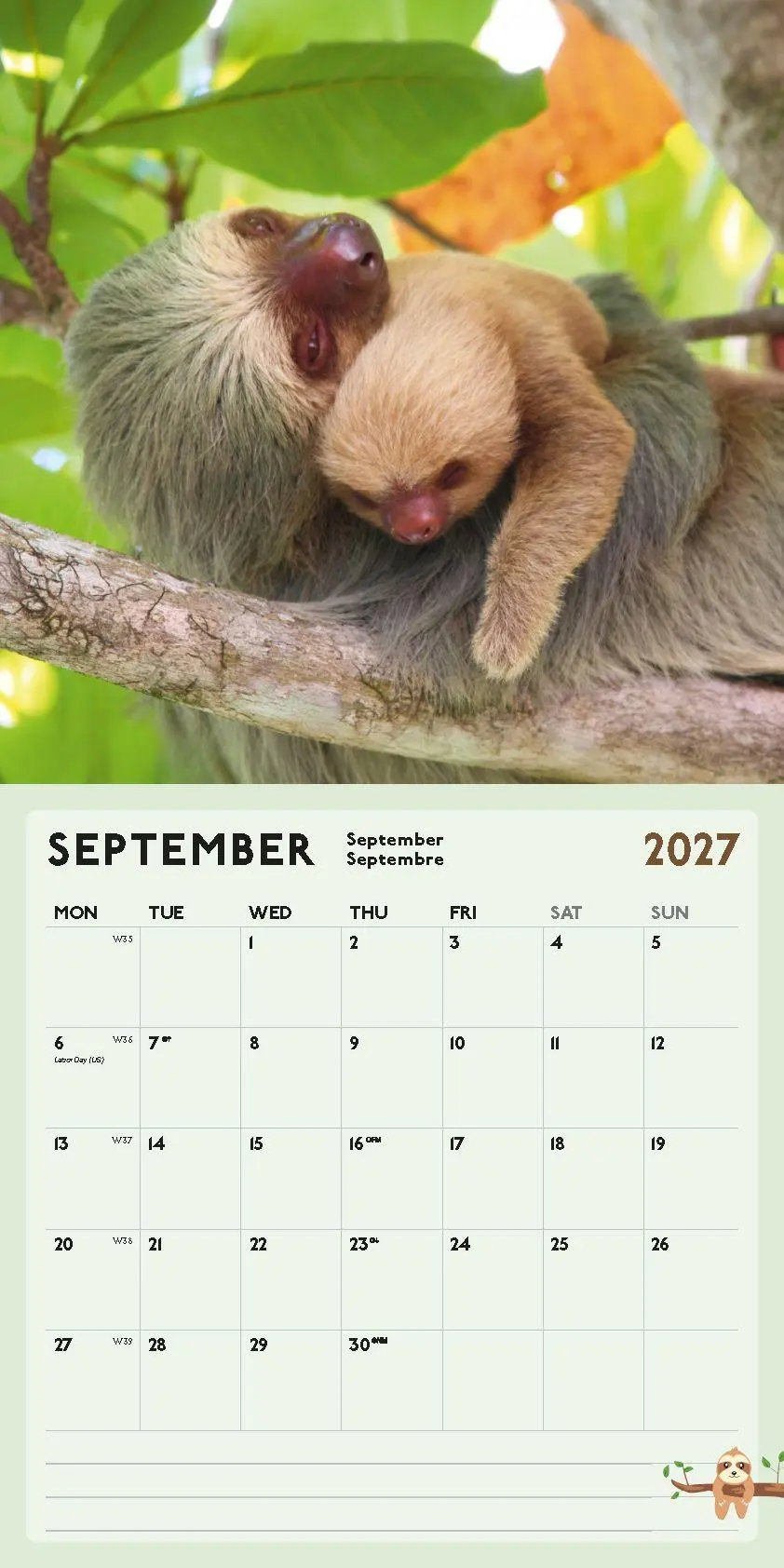 Bild: 9798893614046 | Faultier Kalender 2027 | Blaustein | Kalender | 28 S. | Deutsch | 2027