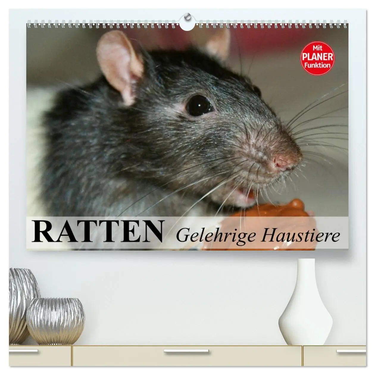 Cover: 9783457994146 | Ratten. Gelehrige Haustiere (hochwertiger Premium Wandkalender 2026...