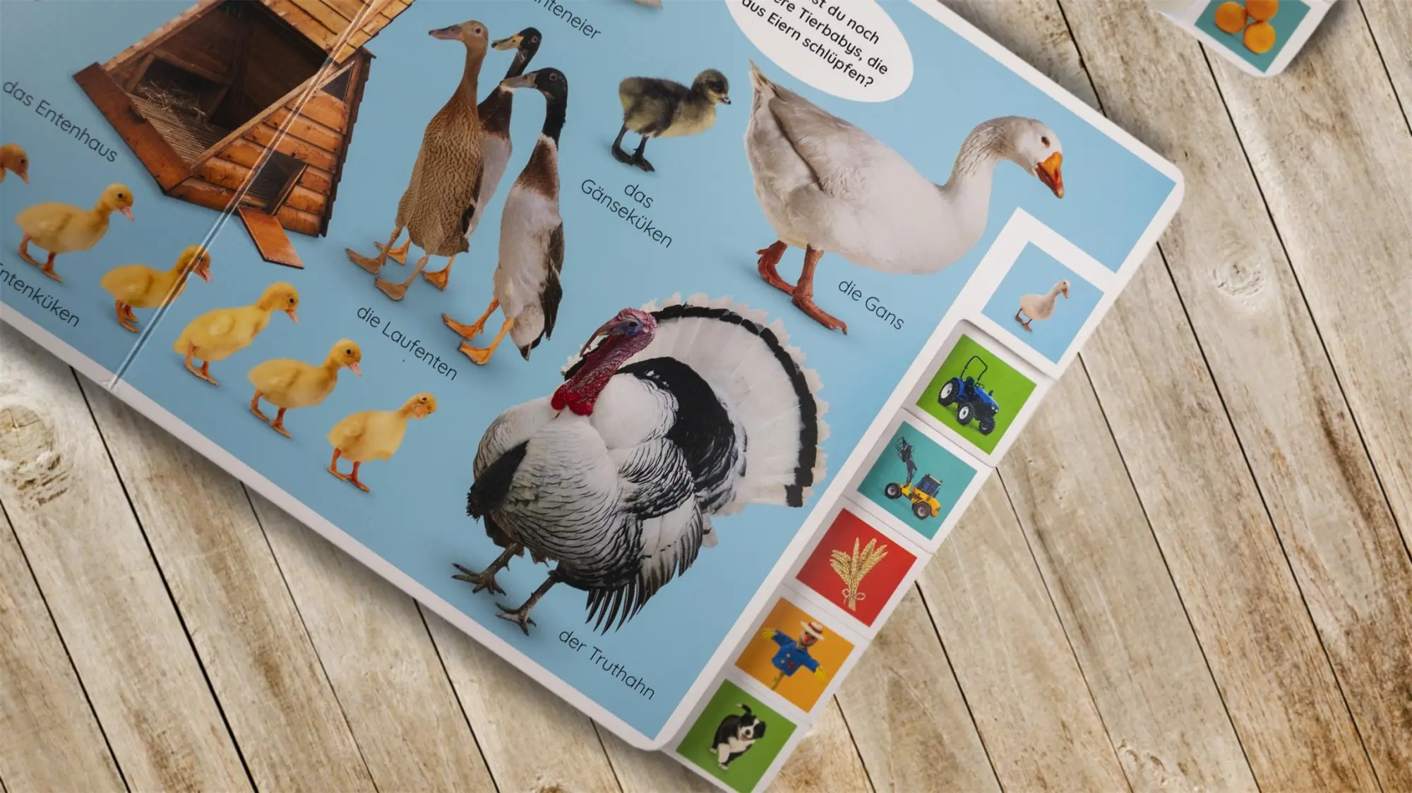 Bild: 9783831044146 | Erstes Lernen. Wörter | DK Verlag - Kids | Buch | Erstes Lernen | 2021