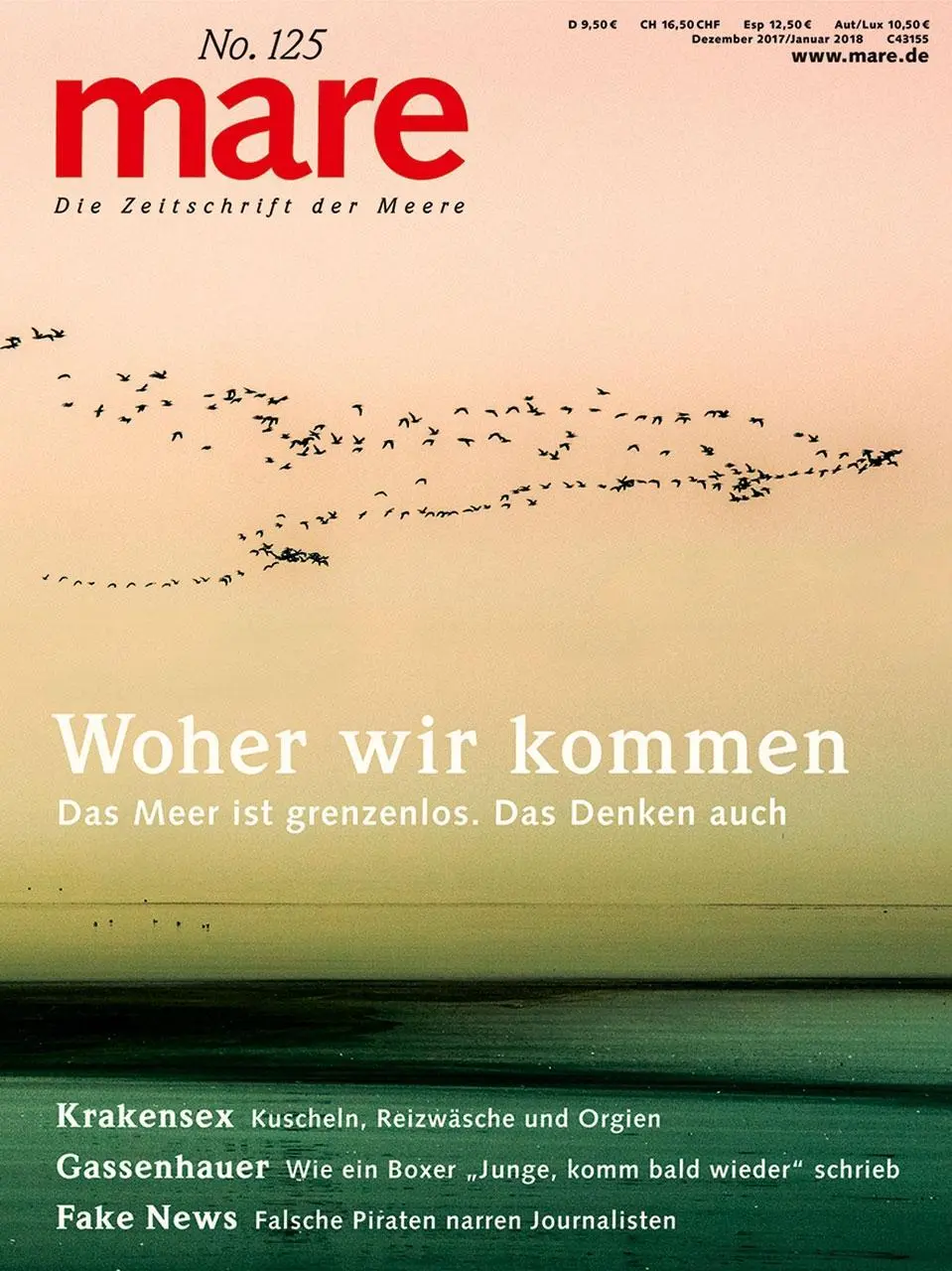 Cover: 9783866484146 | mare 125 - Woher wir kommen | Nikolaus Gelpke | Taschenbuch | 130 S.