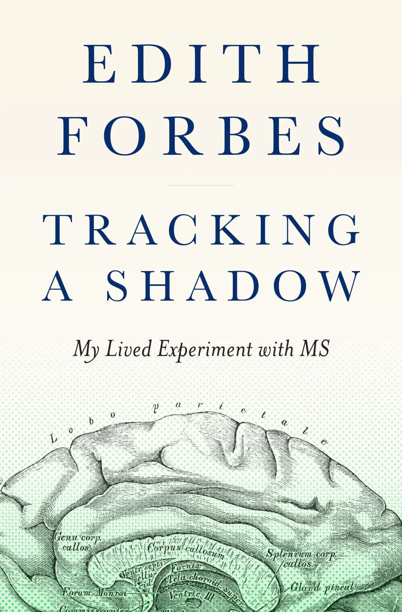 Cover: 9781954854246 | Tracking a Shadow | My Lived Experiment with MS | Edith Forbes | Buch