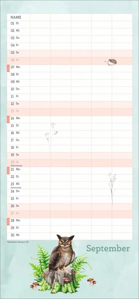 Bild: 9783756414246 | tm Tiere des Waldes Familienplaner 2026 | Kalender | 13 S. | Deutsch