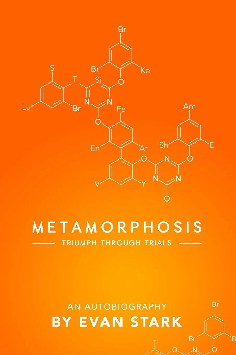 Cover: 9780578124346 | Metamorphosis - Triumph Through Trials | Evan Stark | Taschenbuch
